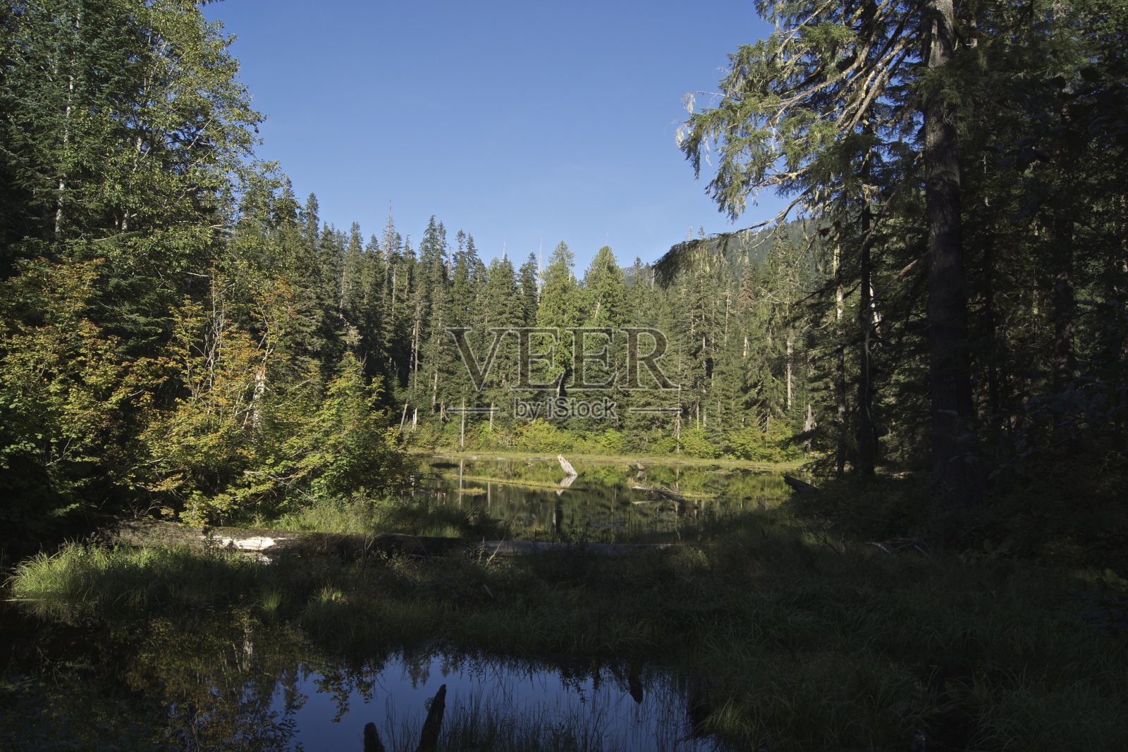 亨利·m·杰克逊荒野湖照片摄影图片