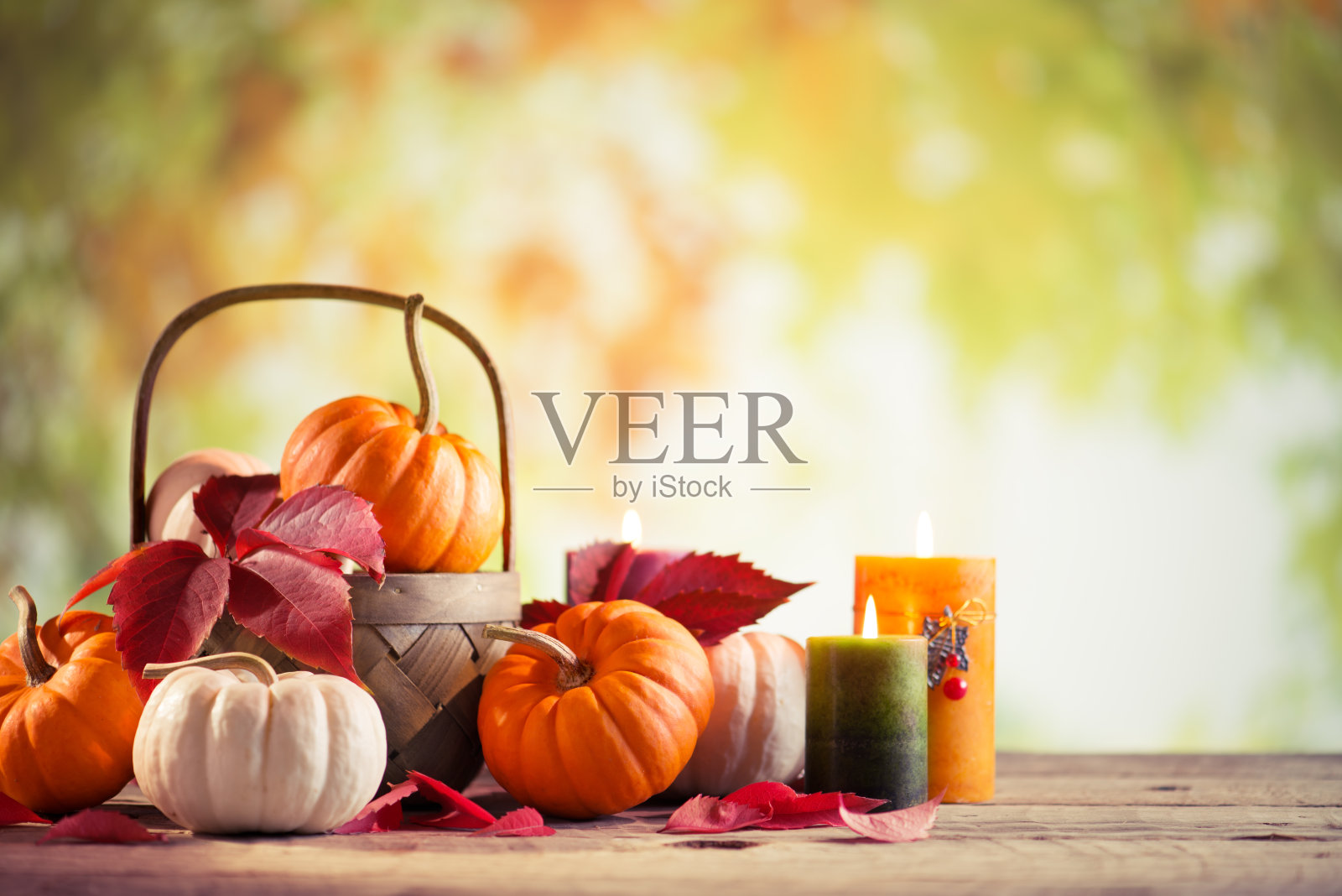 有拷贝空间的南瓜照片摄影图片