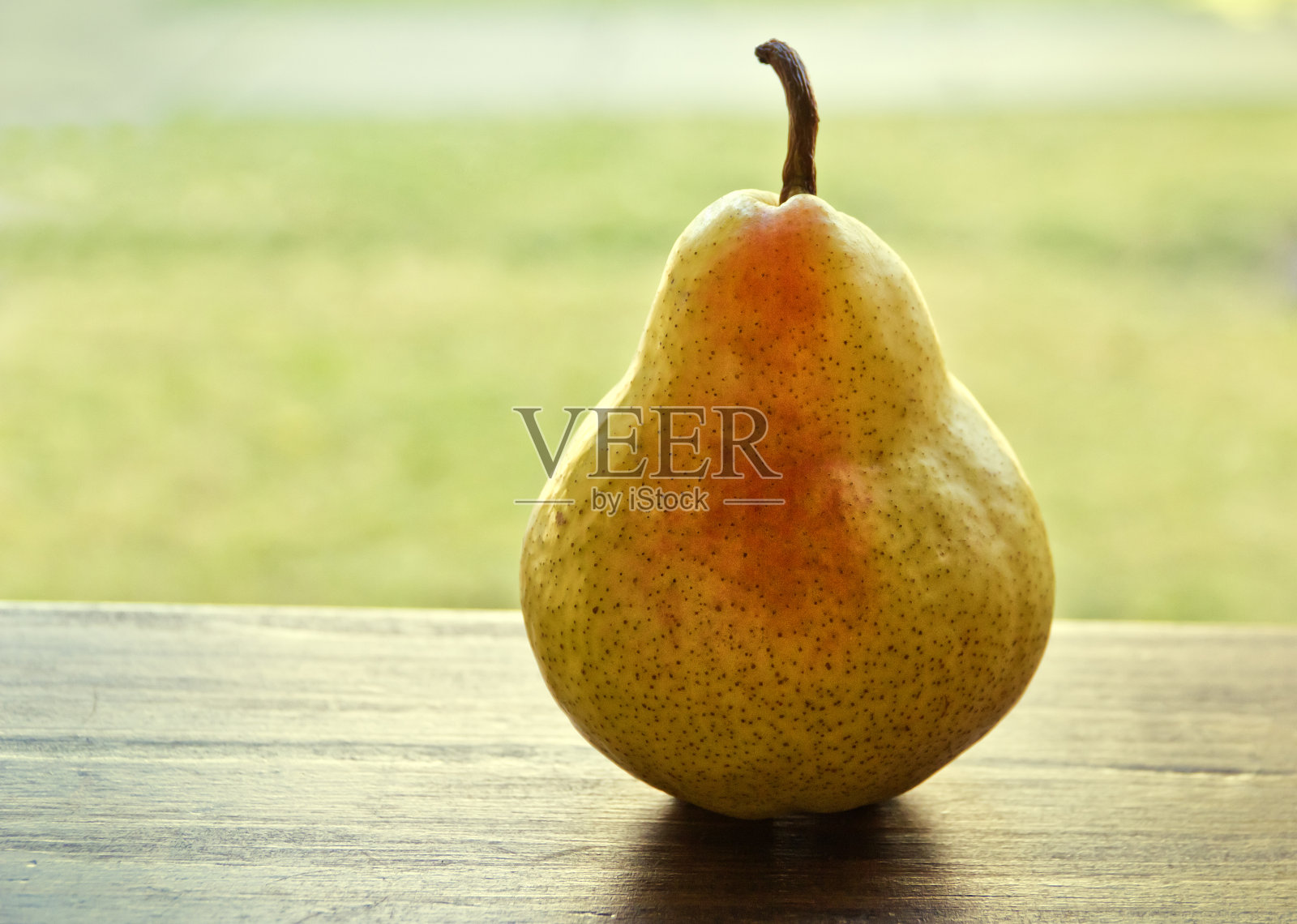 威廉梨照片摄影图片