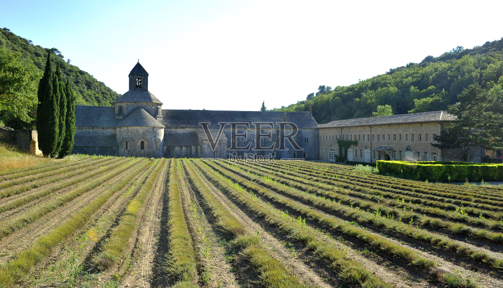 塞纳克圣母院修道院-卢贝隆照片摄影图片