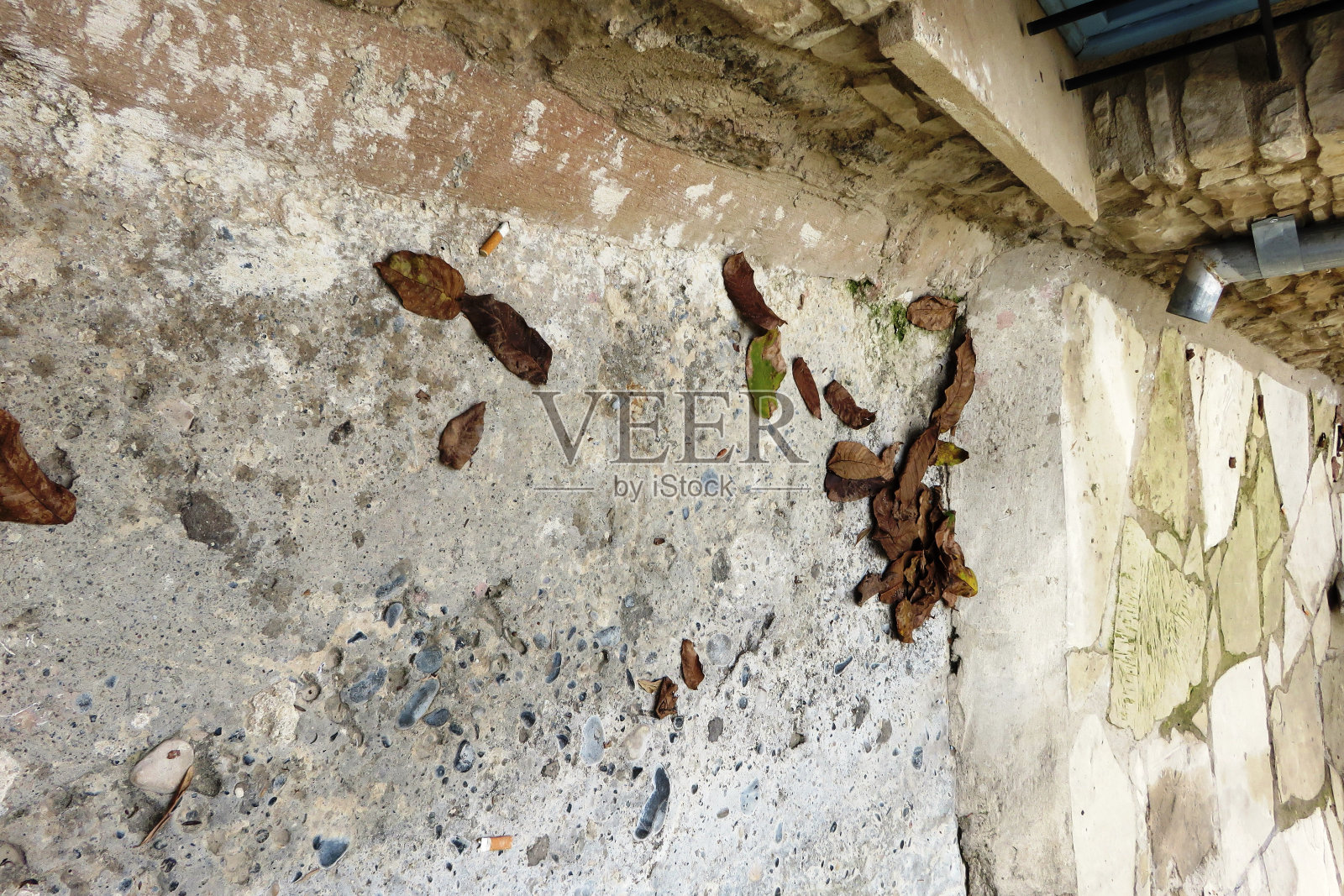 秋天在托斯卡纳照片摄影图片