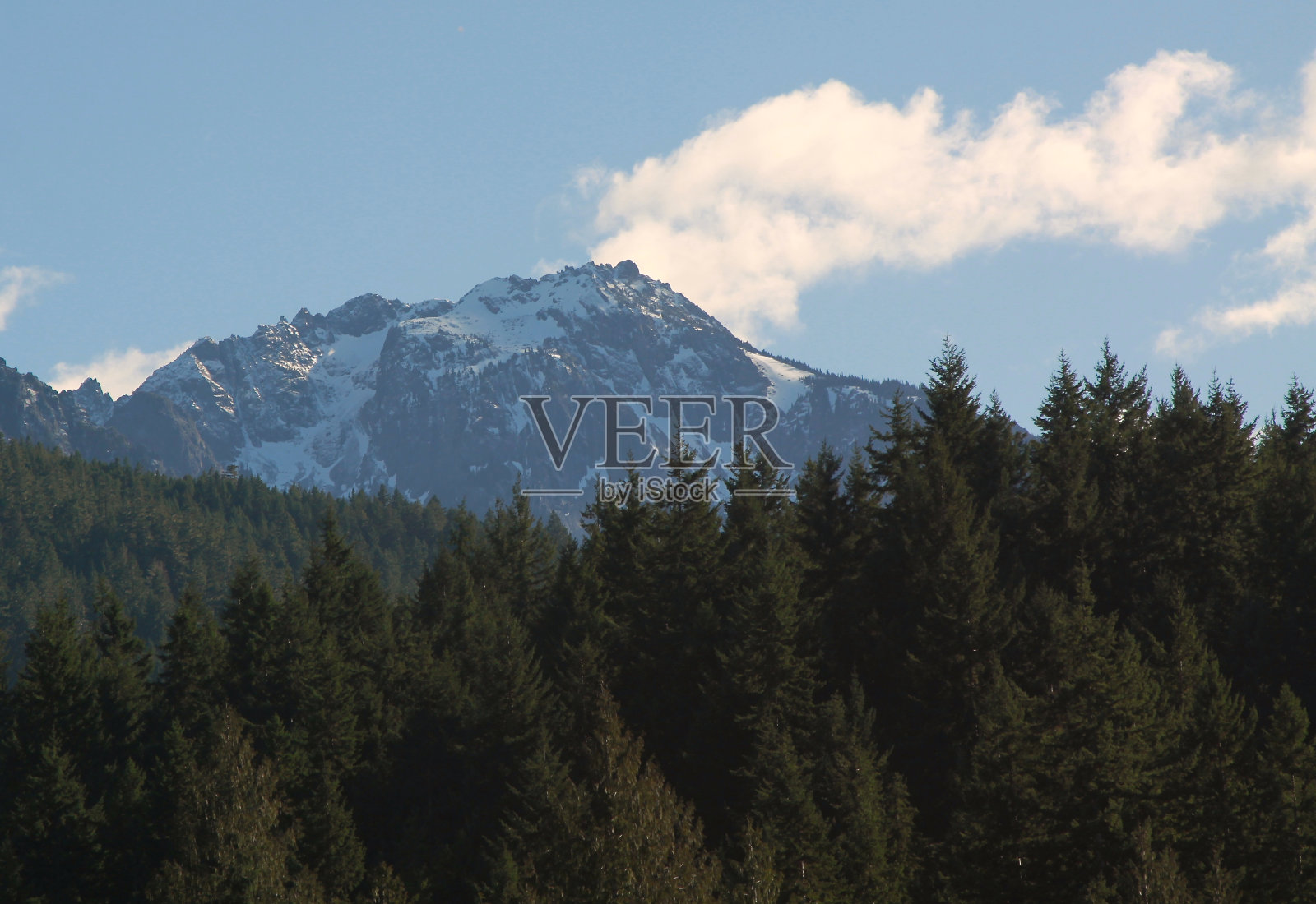崎岖的山顶以上的树木线照片摄影图片