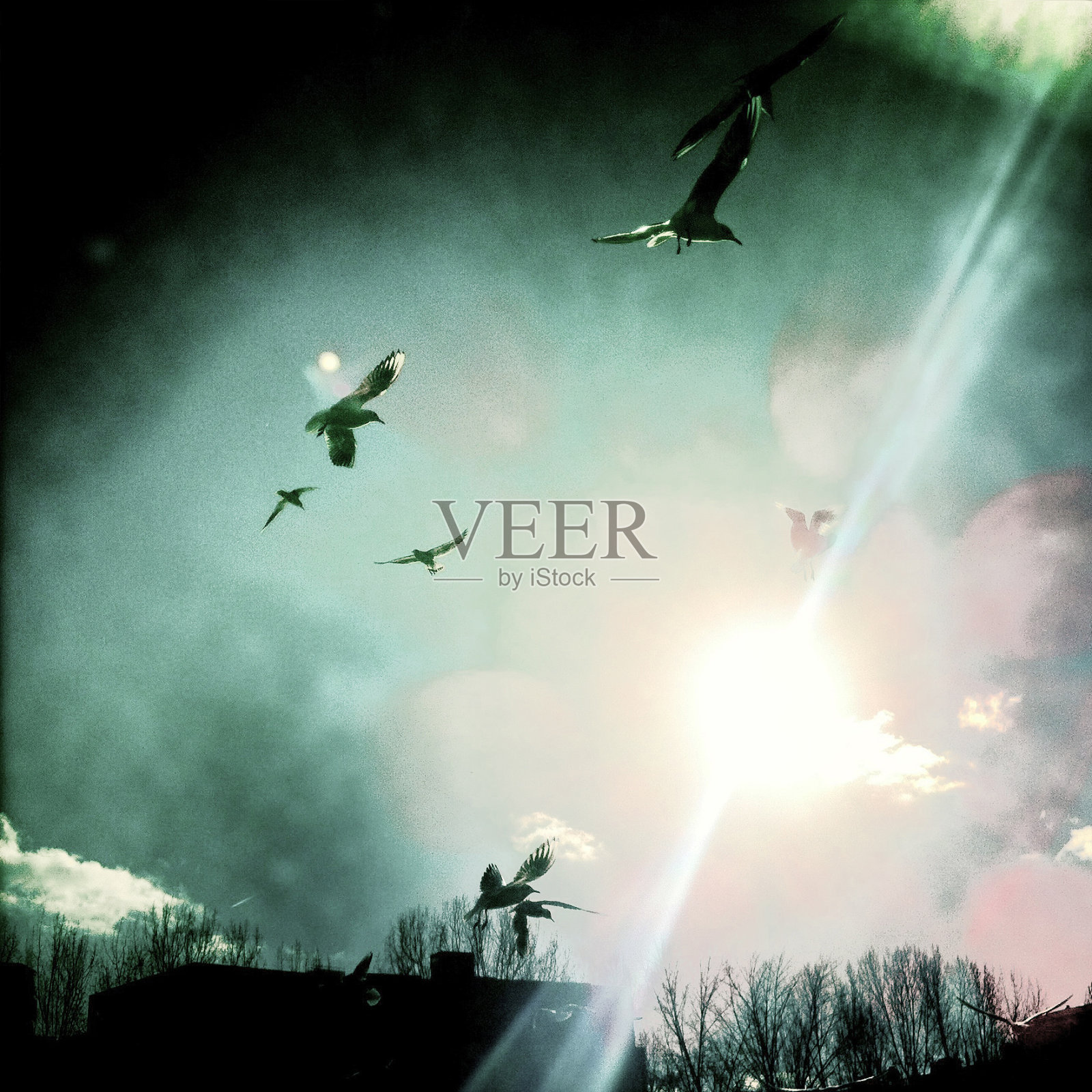 自由照片摄影图片