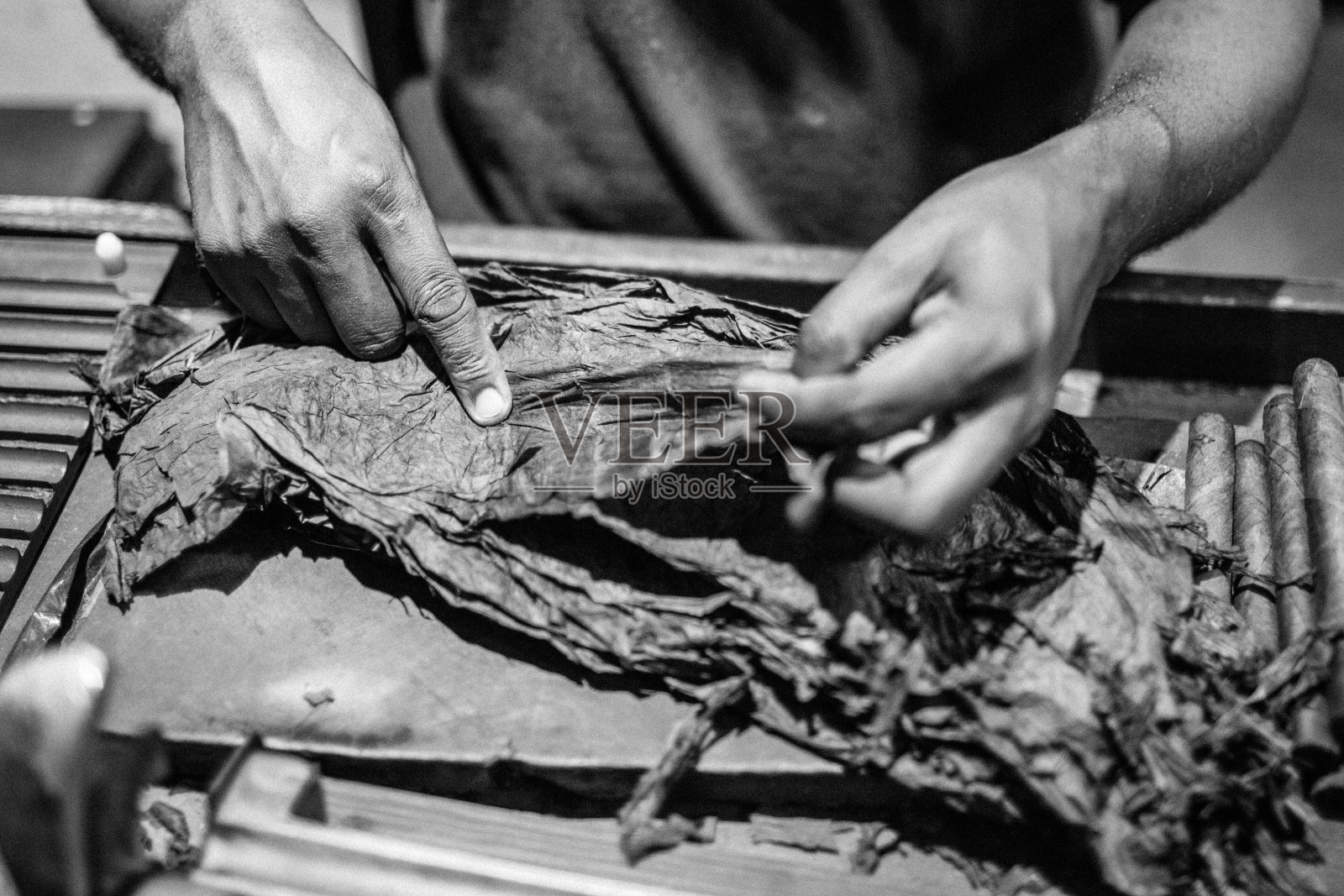 雪茄制造商照片摄影图片