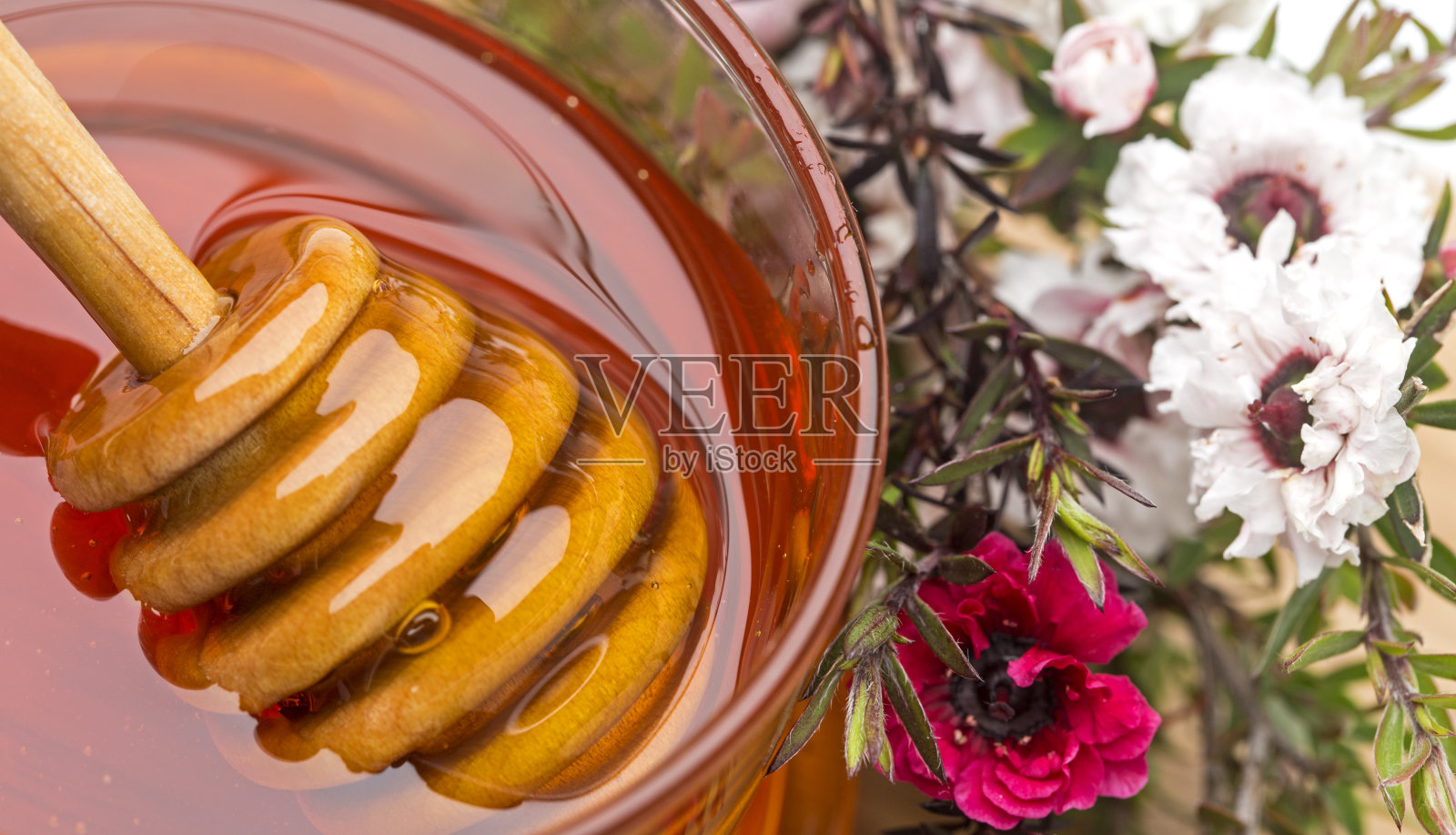 麦卢卡花和蜂蜜照片摄影图片