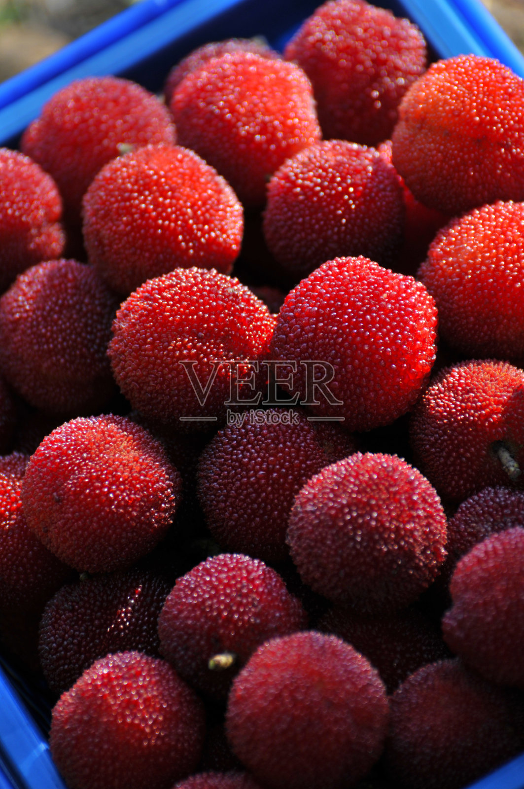 新鲜杨梅照片摄影图片