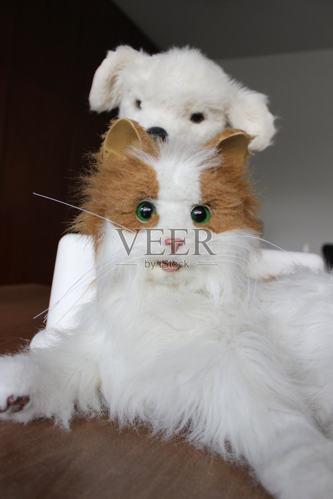 毛茸茸的猫玩具和狗玩具照片摄影图片