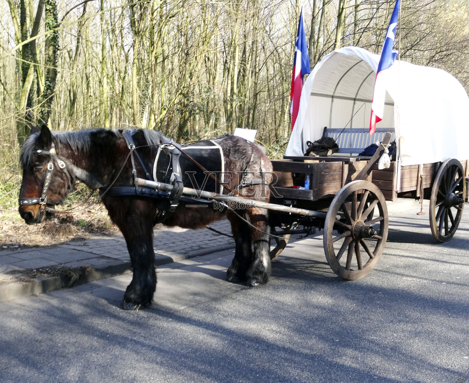 马与四轮马车照片摄影图片