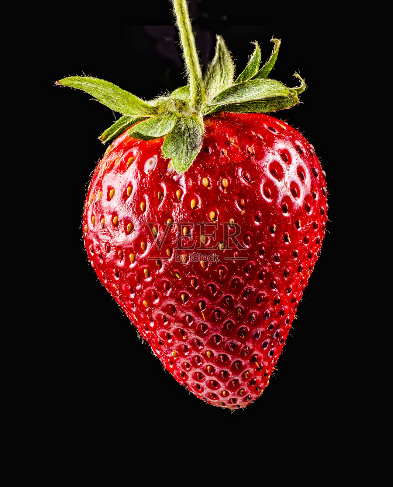 孤立草莓抗黑照片摄影图片