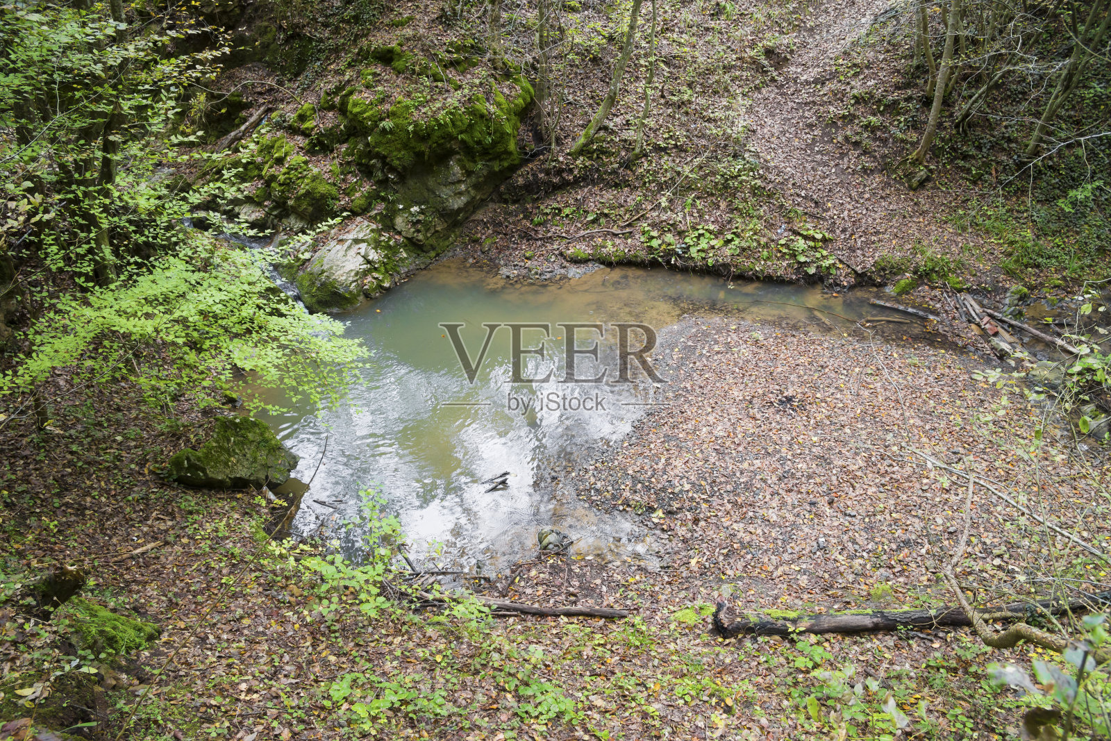 初秋森林小溪上美丽的小池塘照片摄影图片