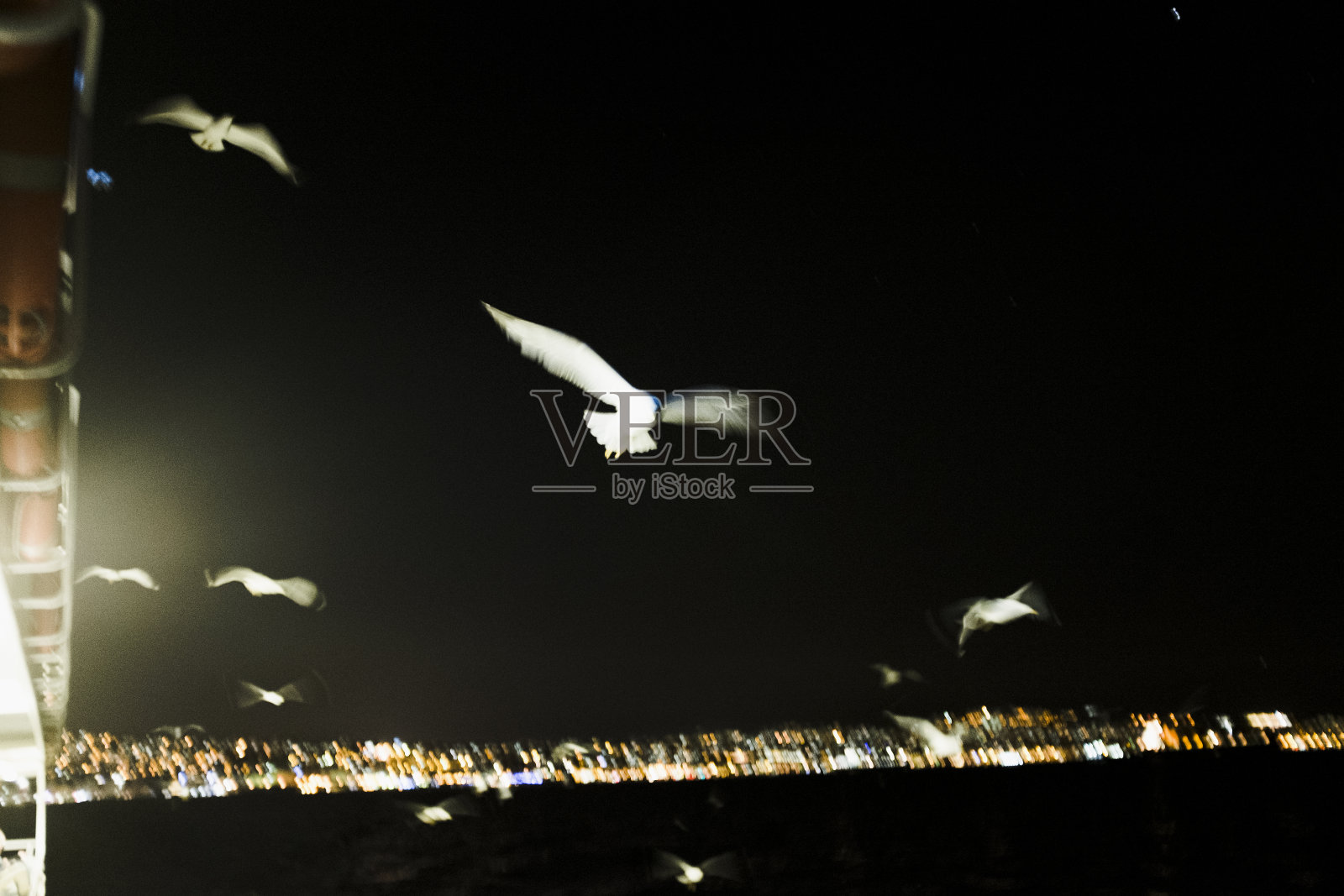 海鸥在黑暗中飞翔。运动模糊图像照片摄影图片