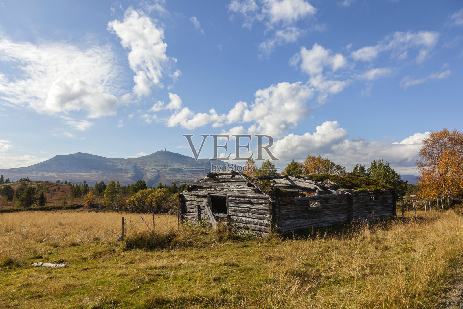 废弃的挪威山区传统夏季农场。照片摄影图片