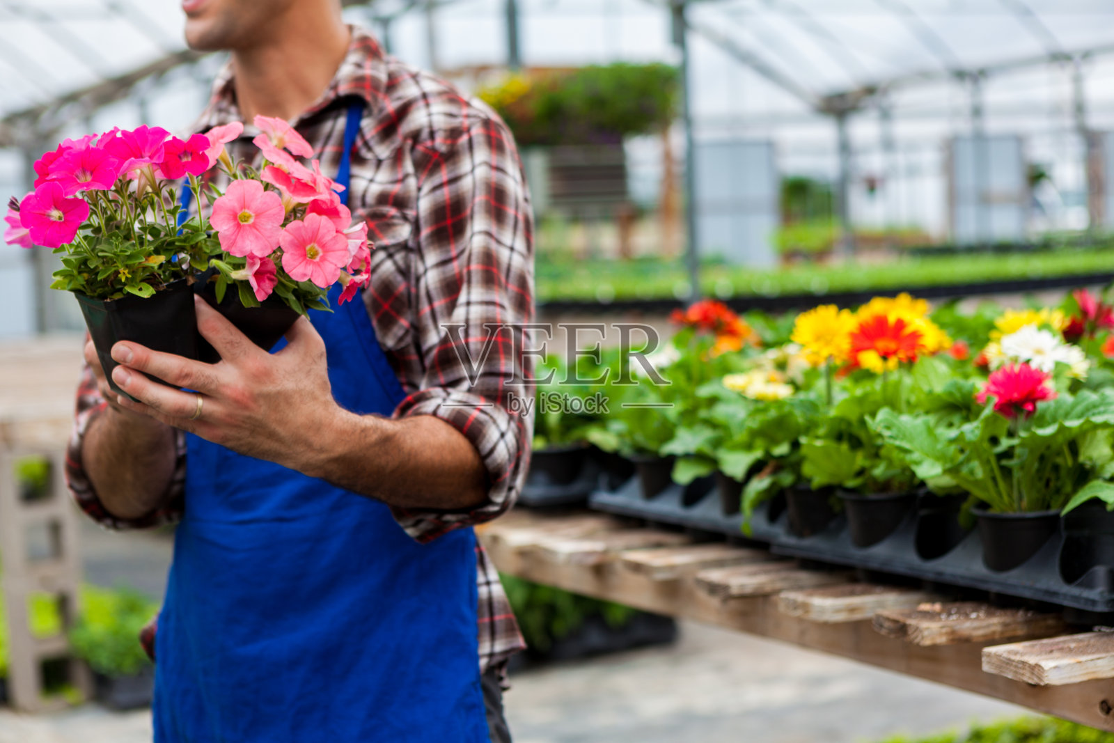 花园中心的白人男性职员，带着花照片摄影图片