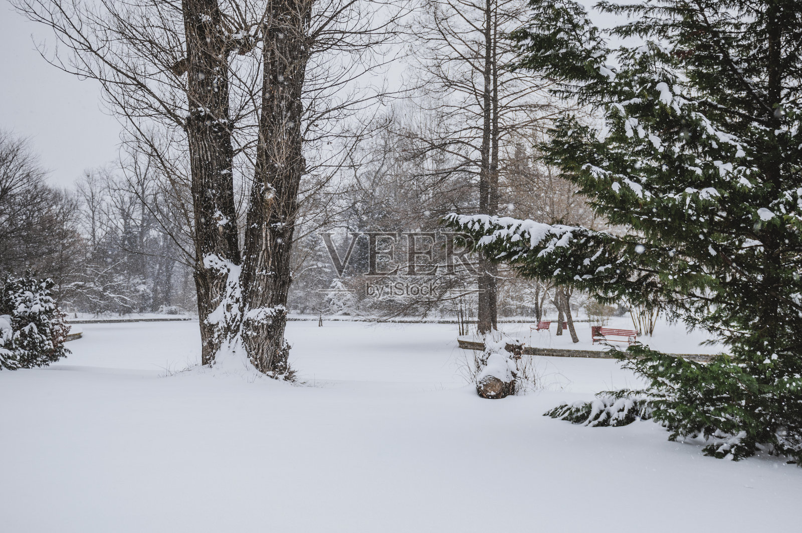 雪景照片摄影图片