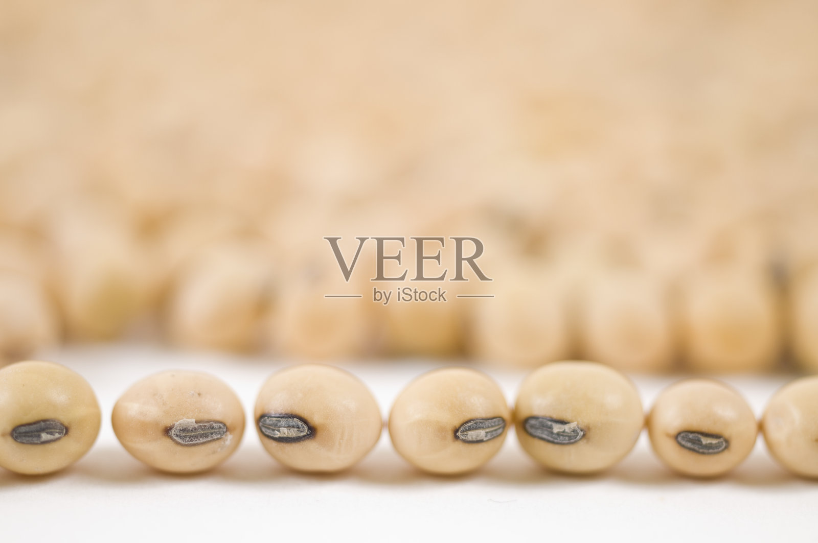 大豆照片摄影图片