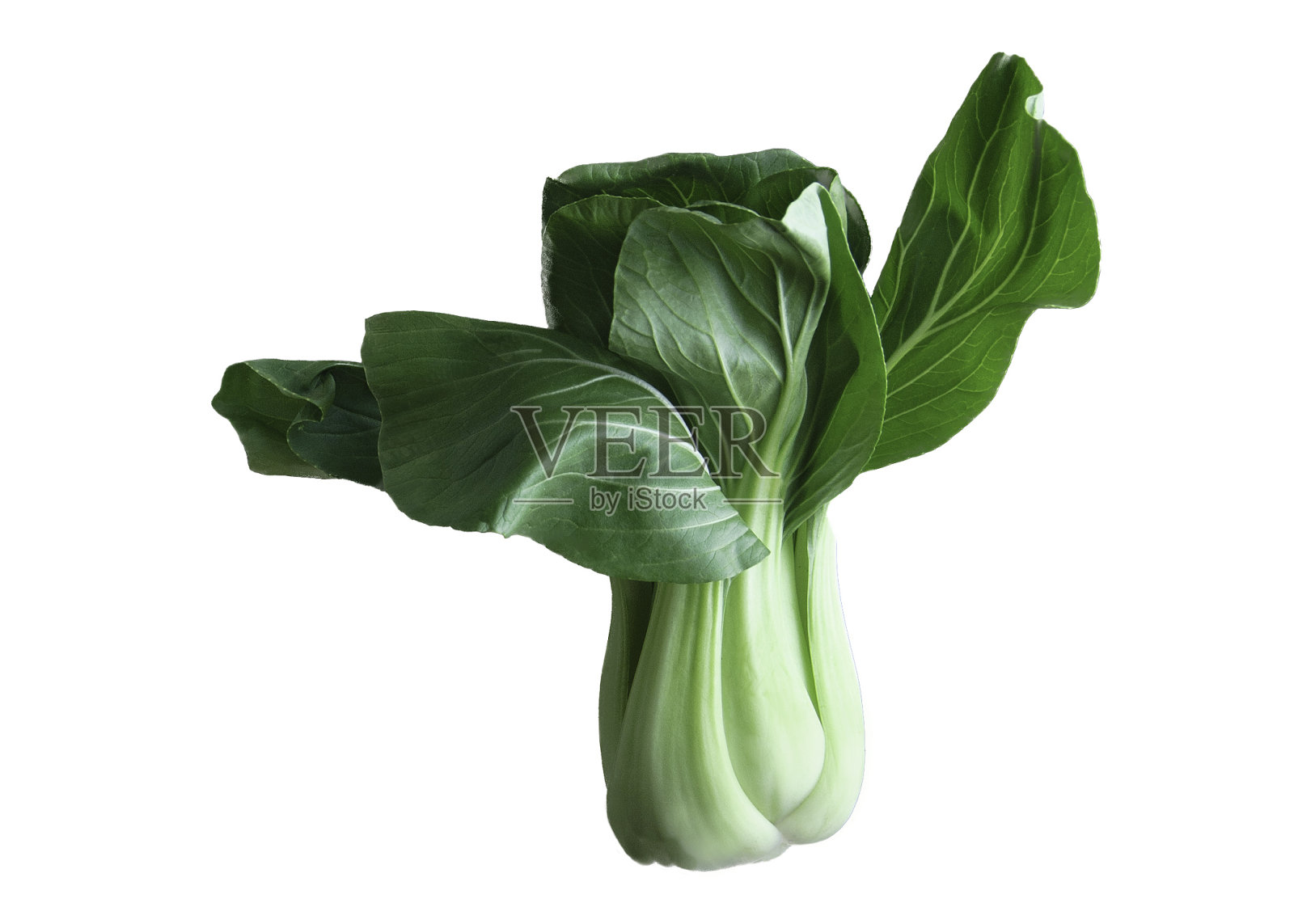 山羊蔡照片摄影图片