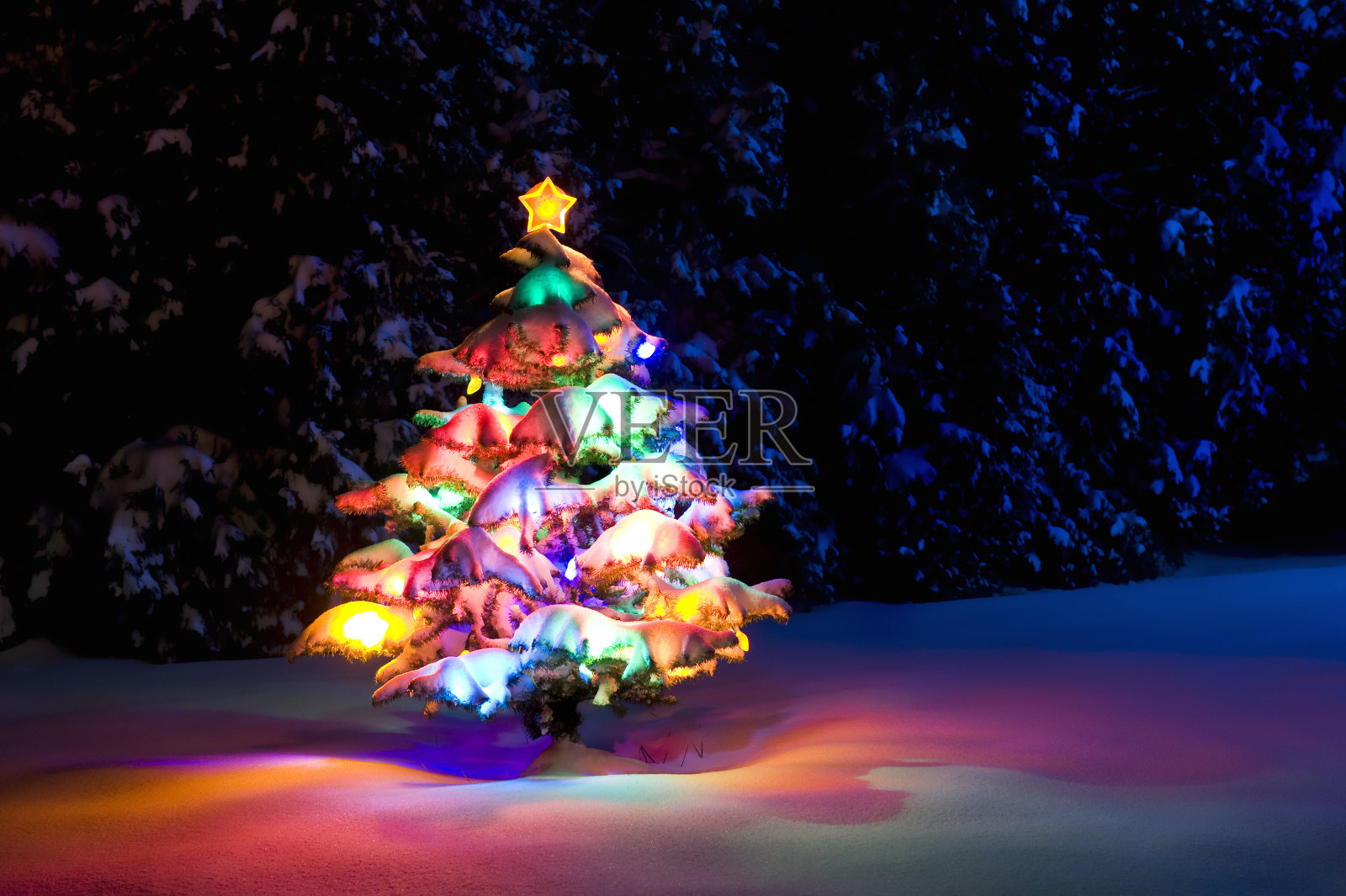 五彩缤纷的圣诞树照片摄影图片