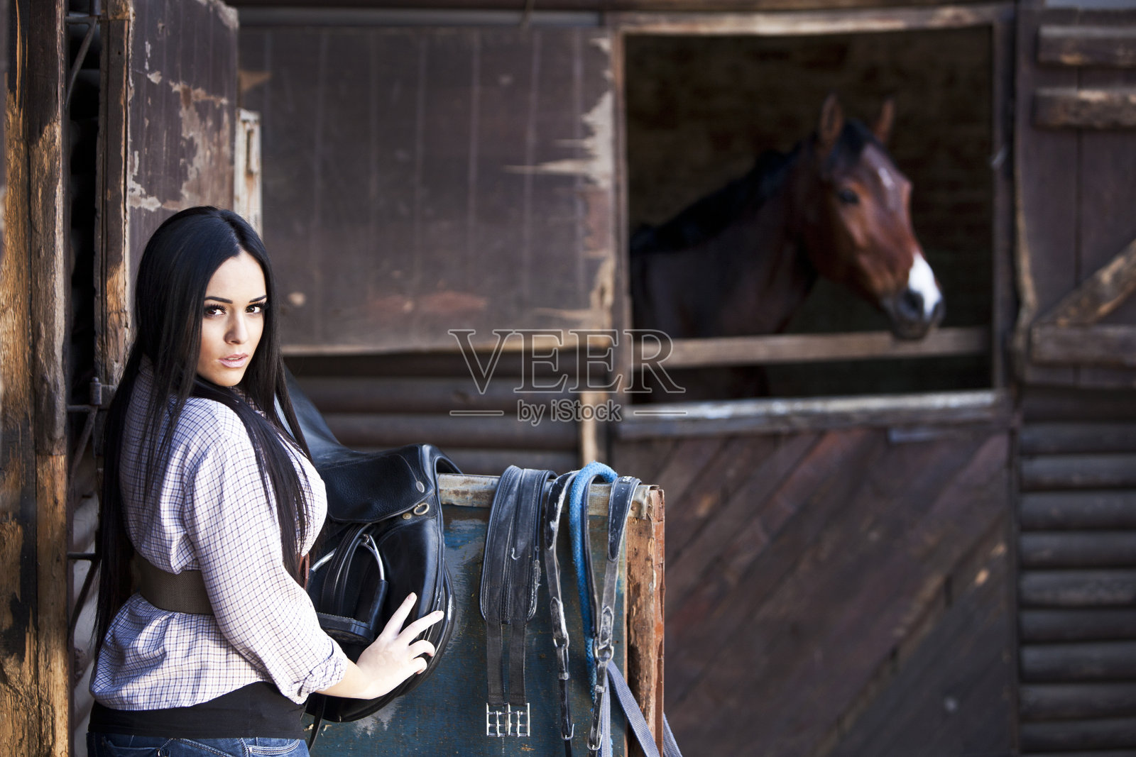 马术俱乐部照片摄影图片