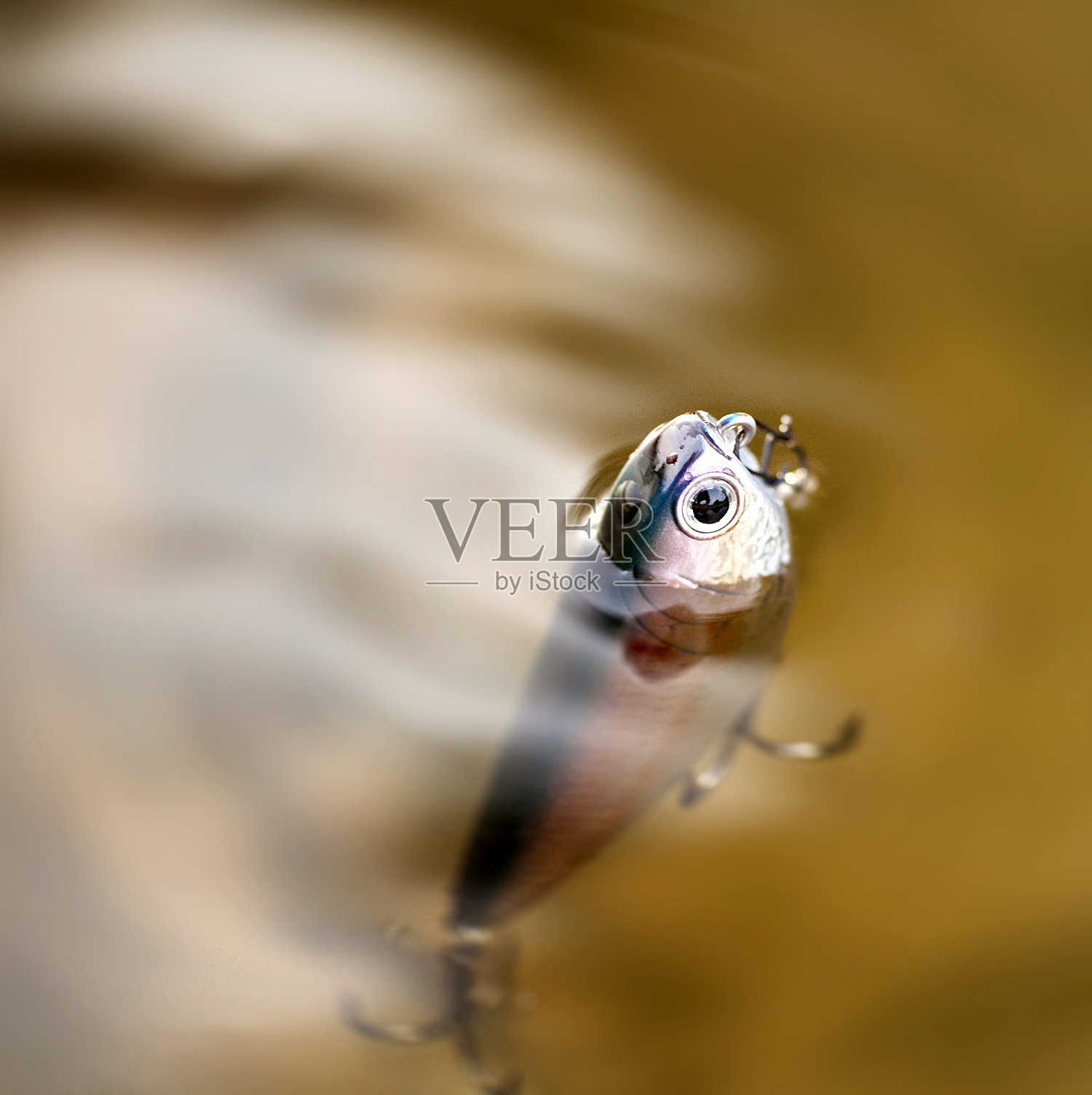 作饵照片摄影图片