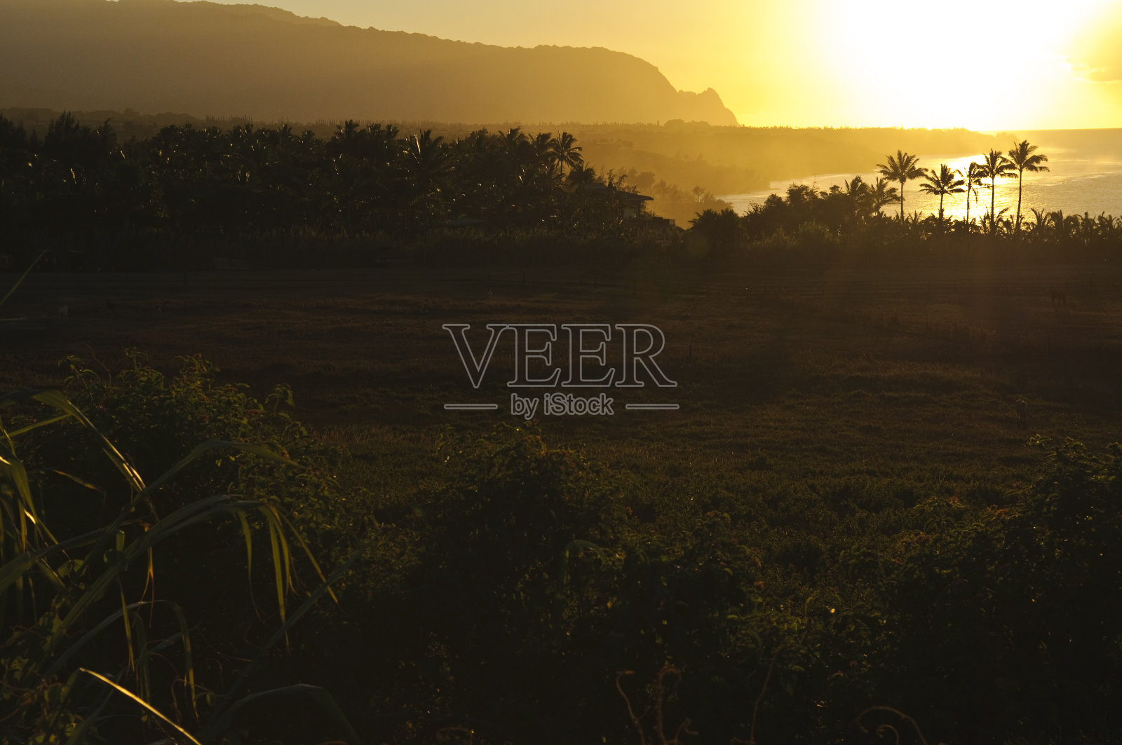 考艾岛北岸的日落照片摄影图片