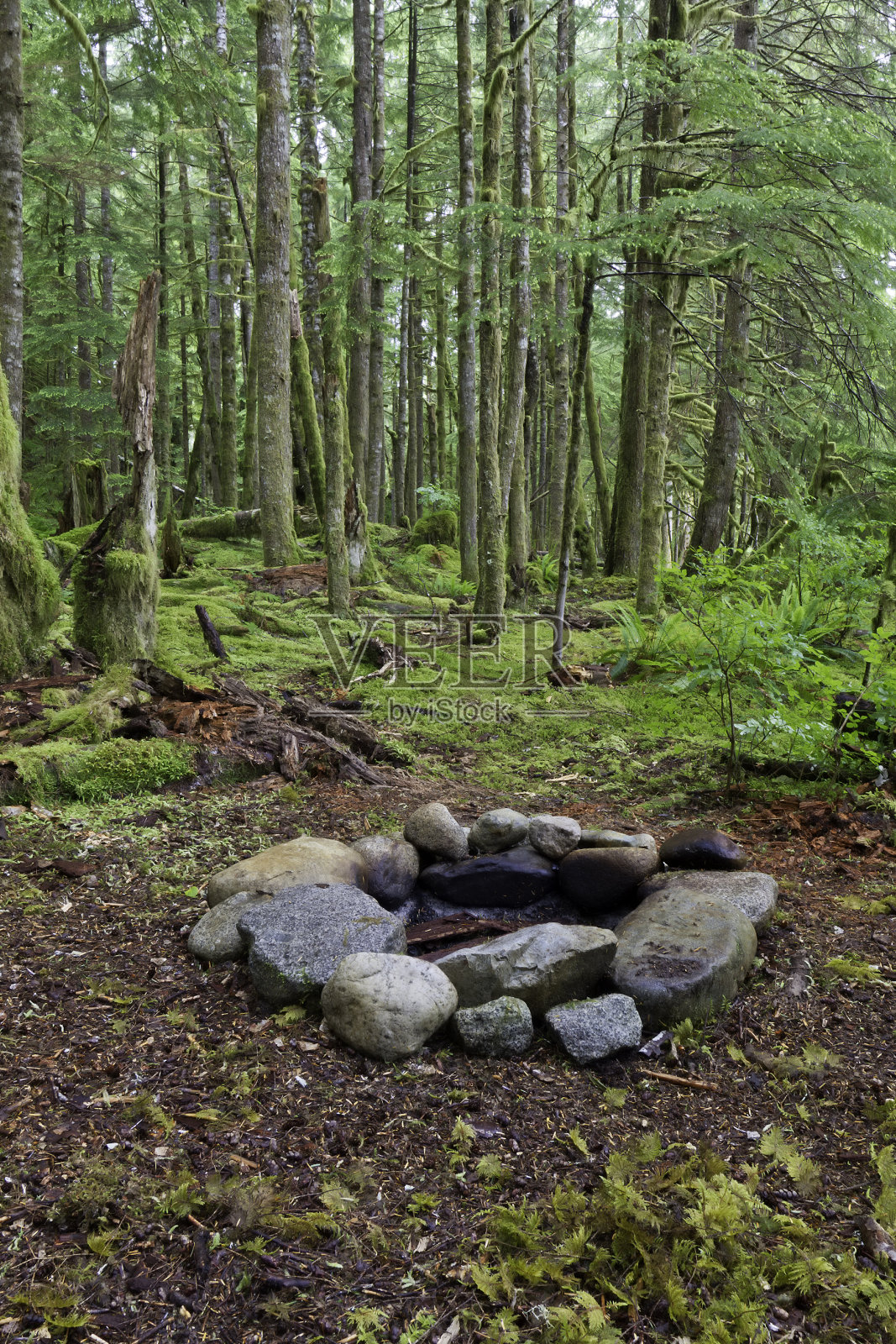 森林中的火坑照片摄影图片