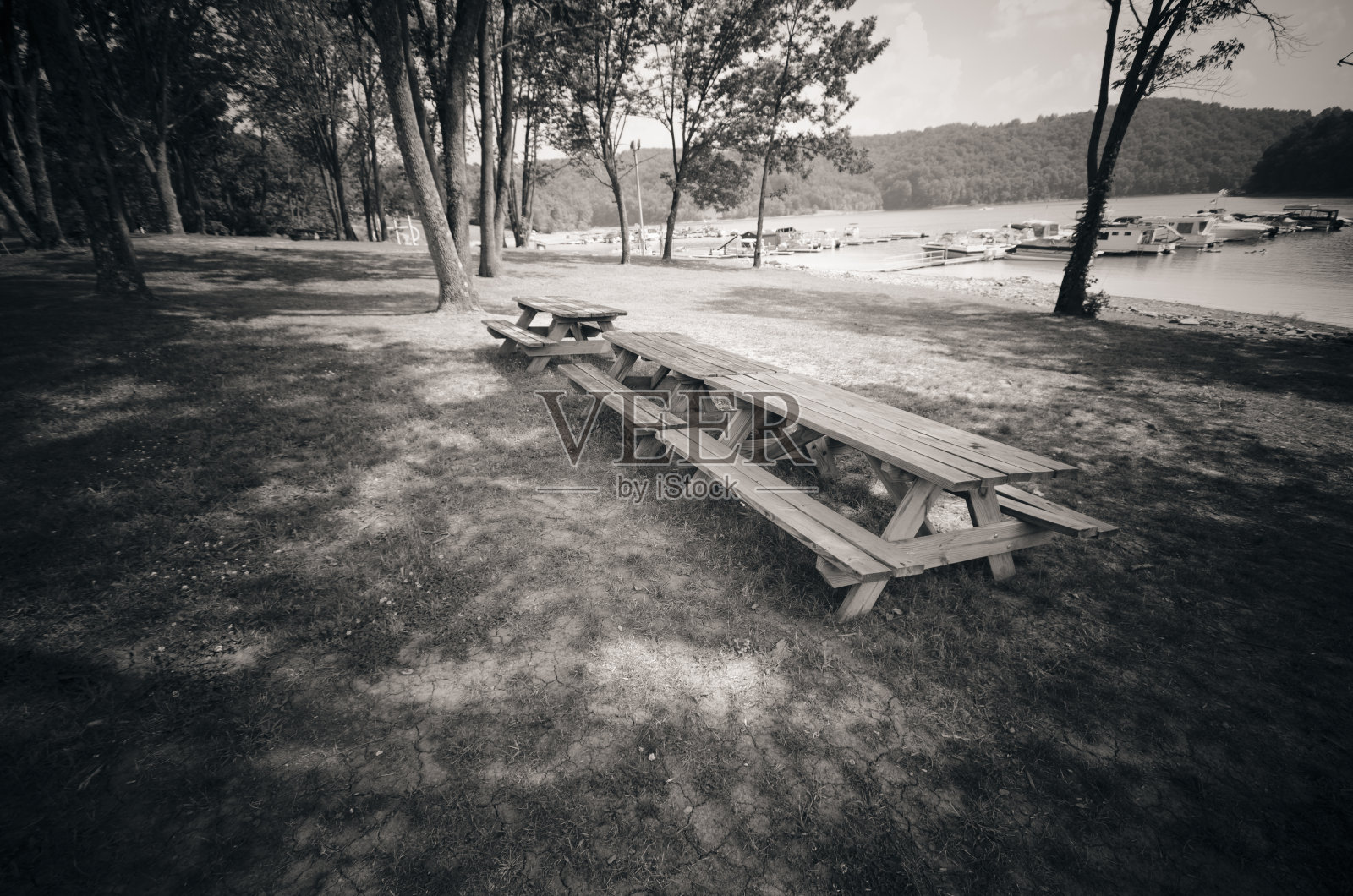 美国宾夕法尼亚州公园的独立长椅照片摄影图片