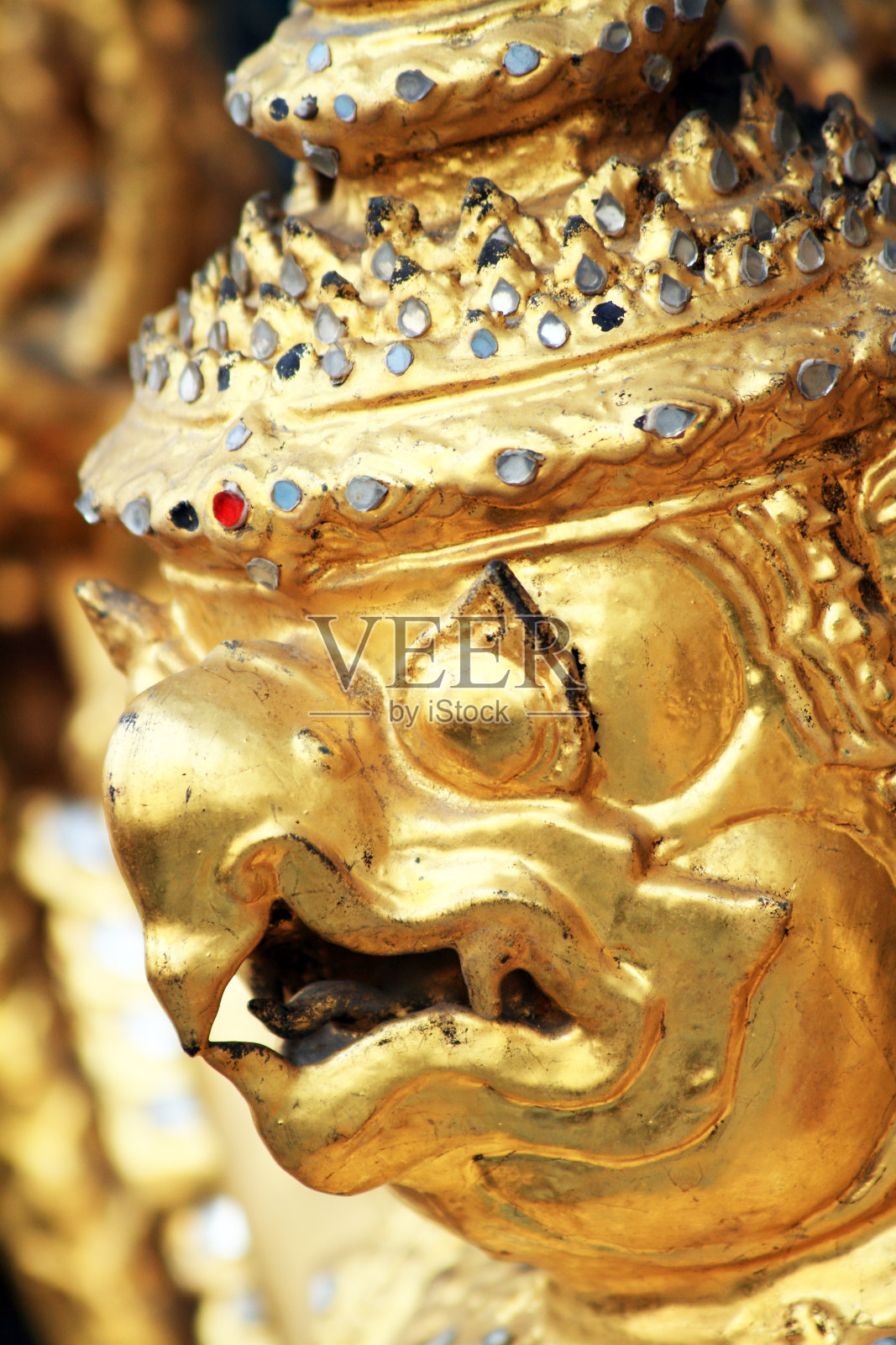 金狼人照片摄影图片