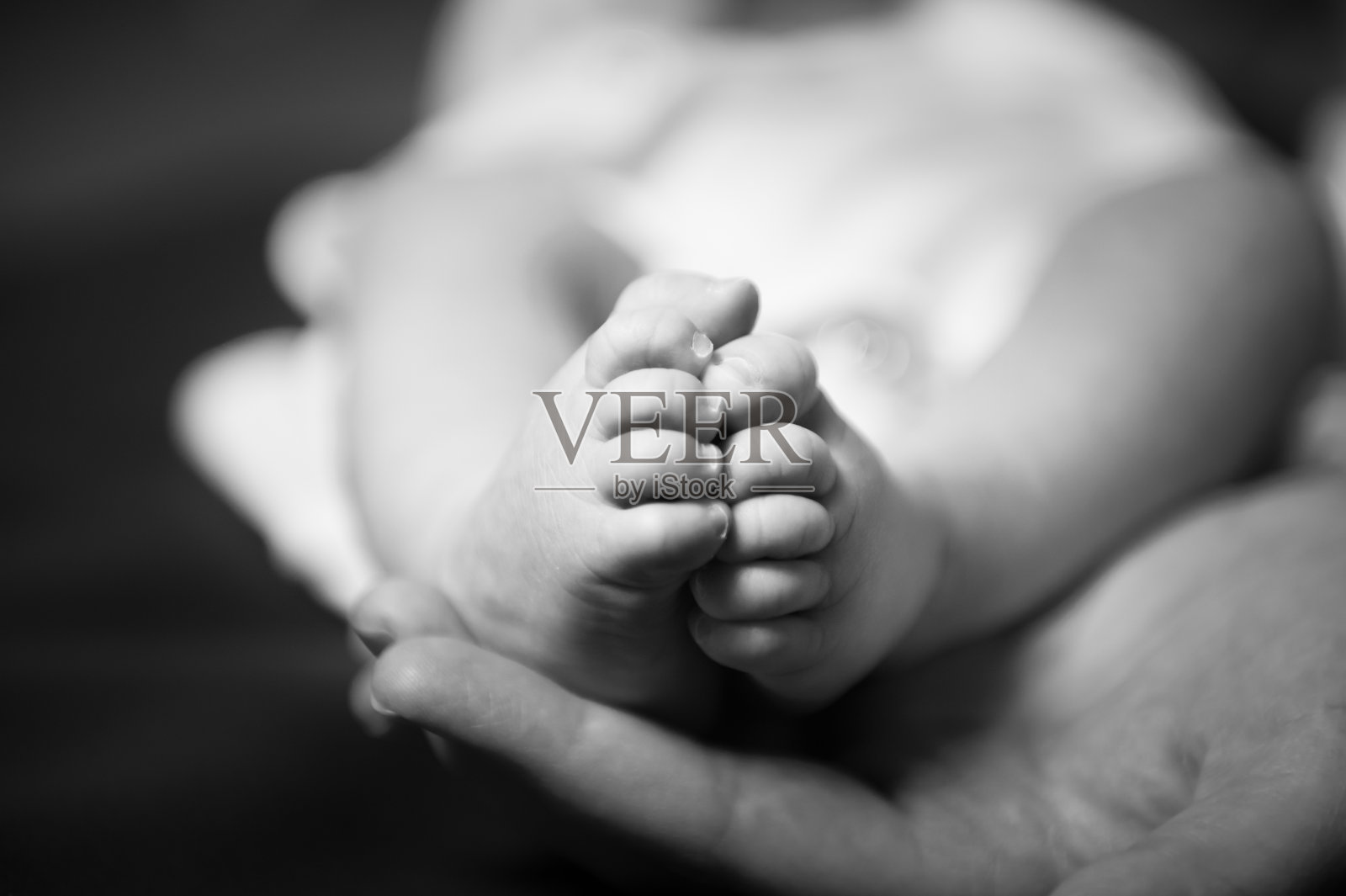 宝宝的脚照片摄影图片