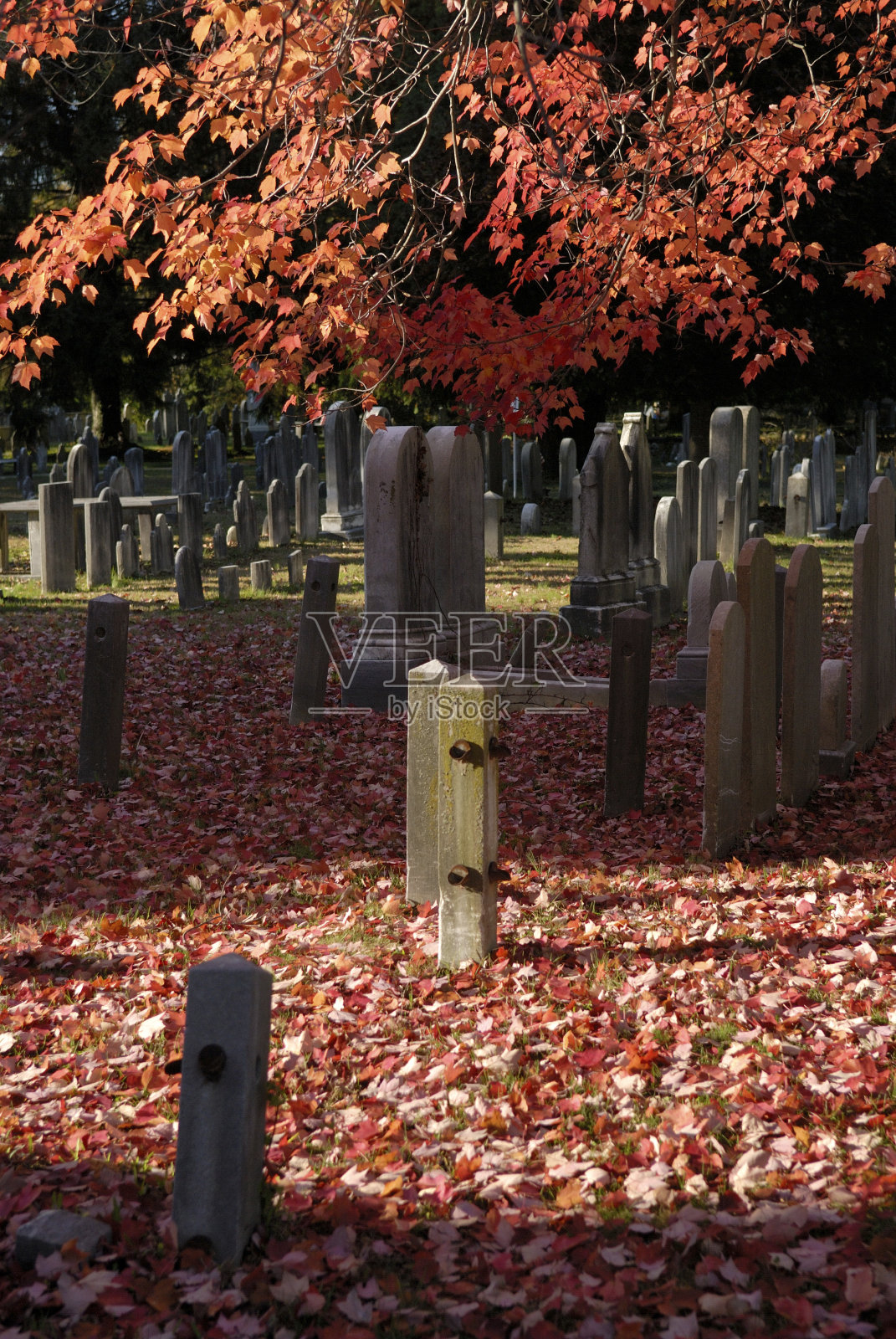 墓地在秋天照片摄影图片