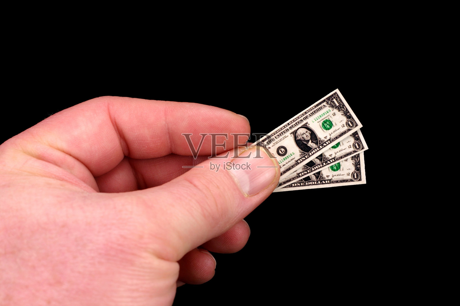 把小美元放在黑色的树上照片摄影图片