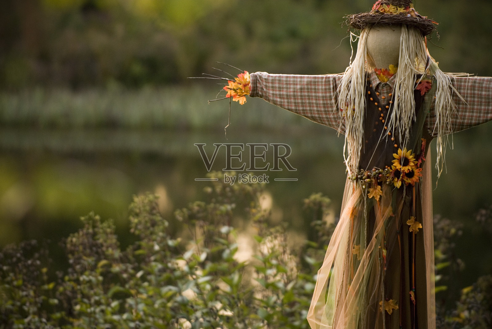 秋天稻草人水平照片摄影图片