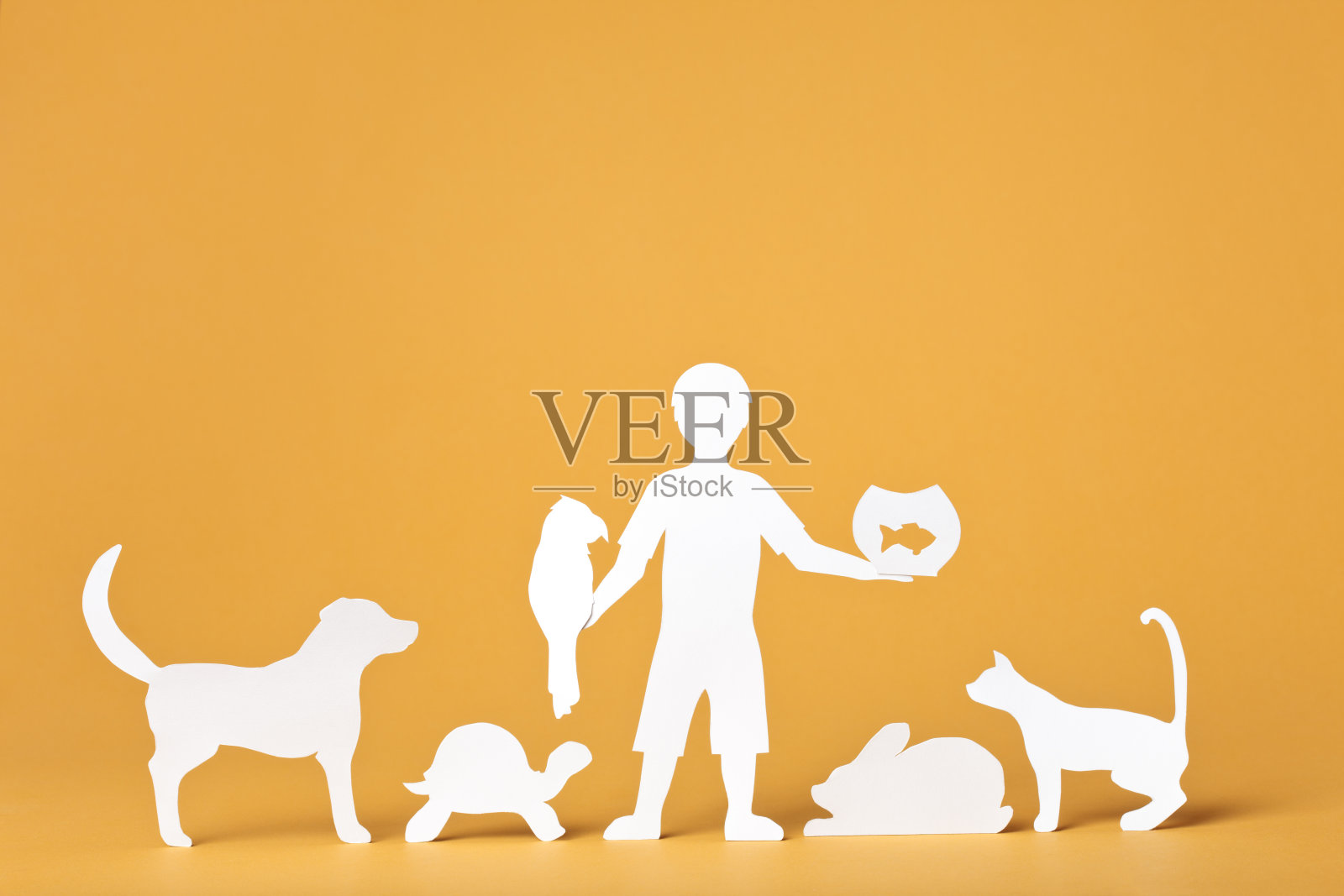 论文概念- Doolittle博士照片摄影图片