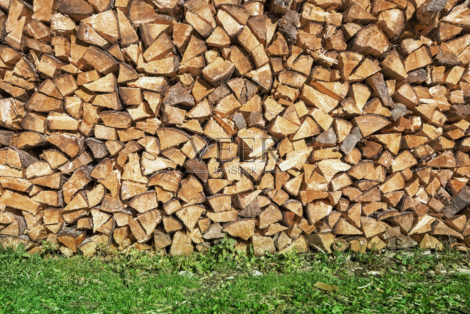 在草地上烧柴的一堆木头照片摄影图片
