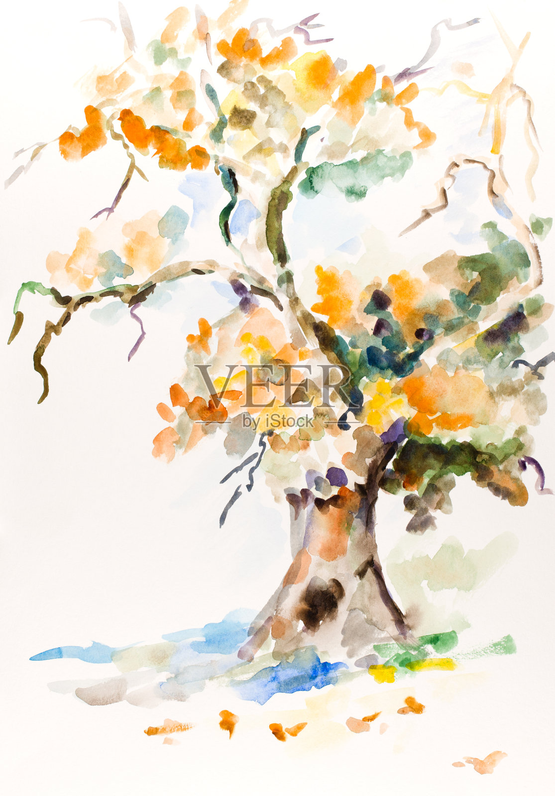 秋天的树插画图片素材