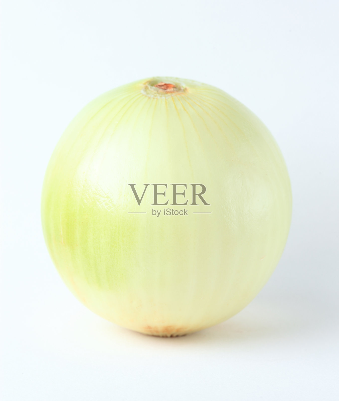 洋葱在白照片摄影图片