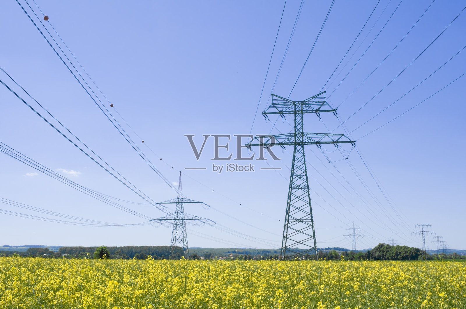 油菜籽田里的电力塔照片摄影图片