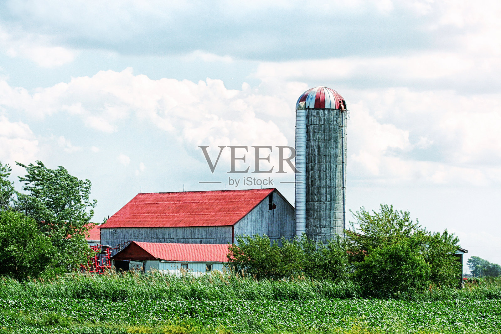 老式安大略农场照片摄影图片
