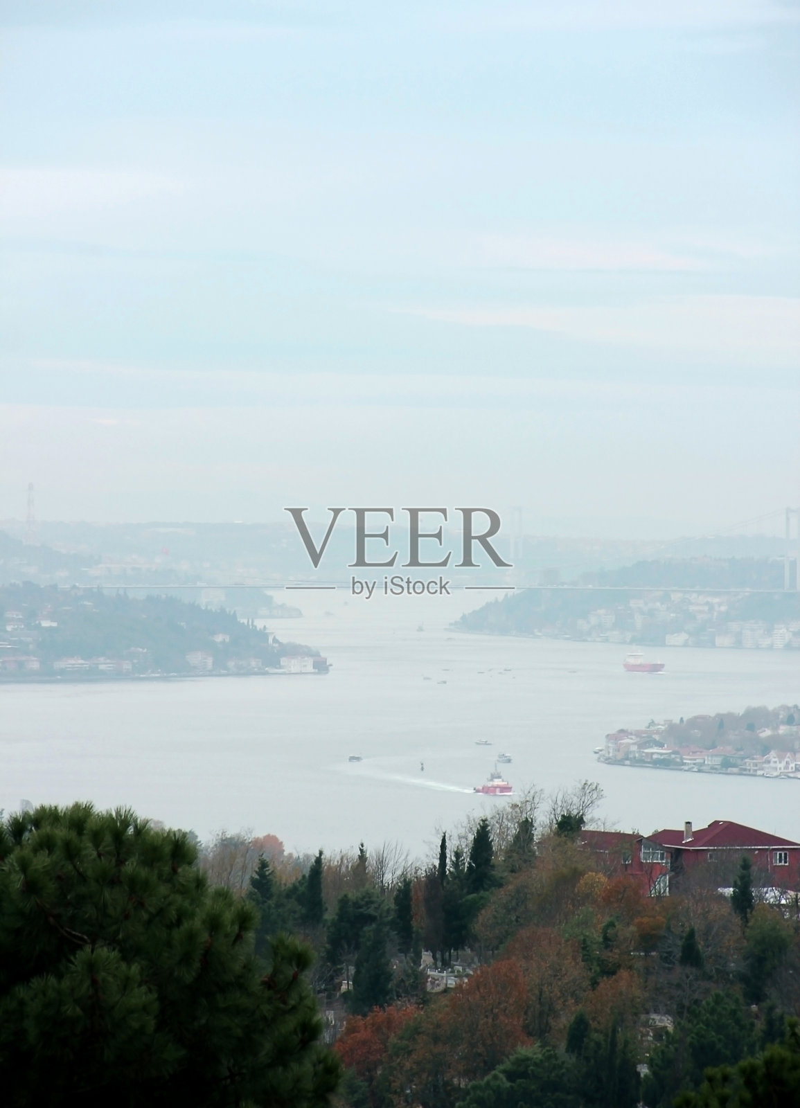 土耳其伊斯坦布尔博斯普鲁斯海峡的船只照片摄影图片