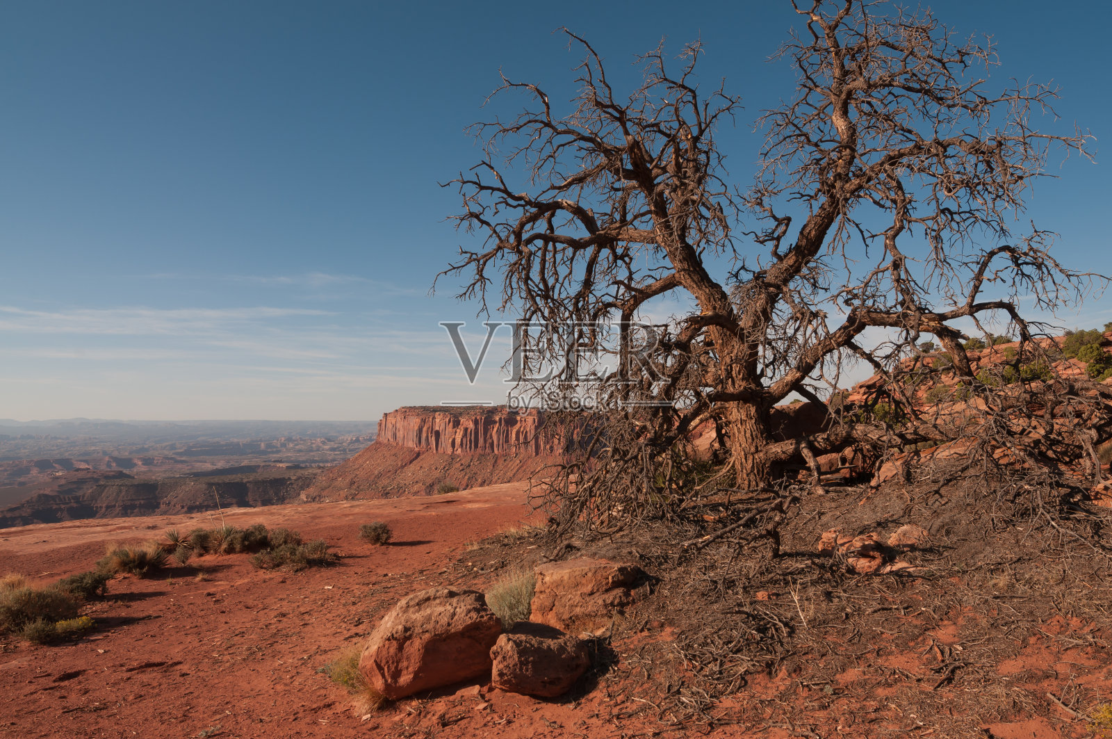 Canonlands国家公园概况照片摄影图片