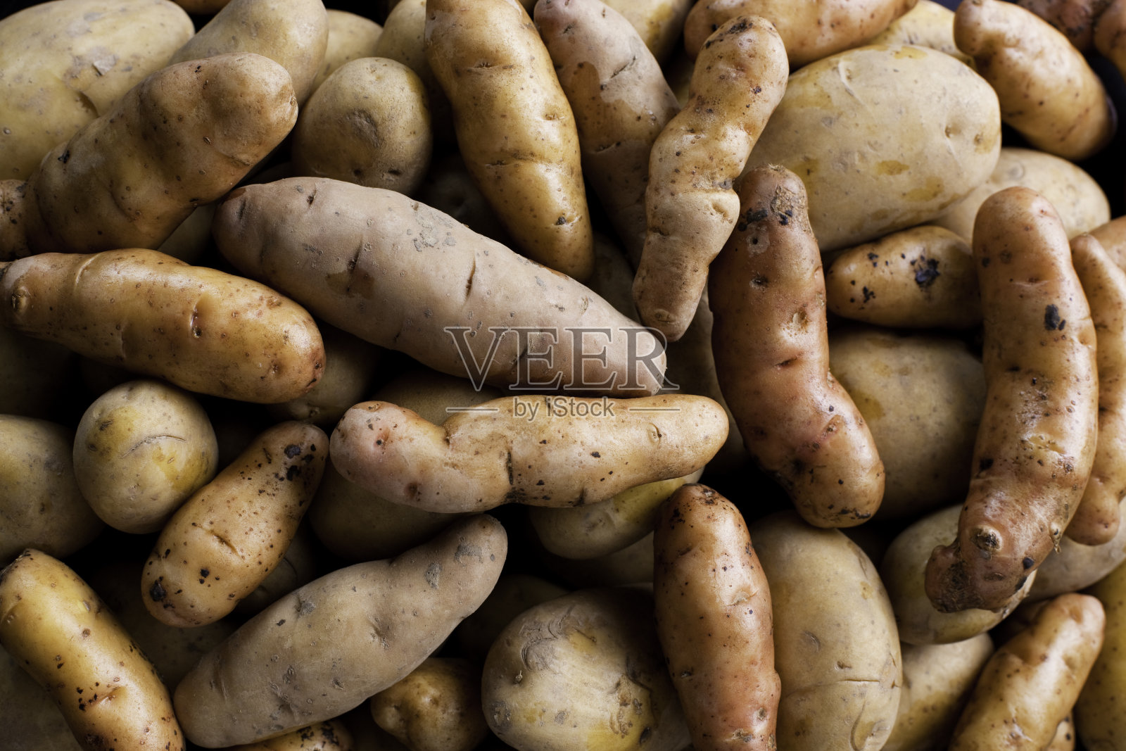 土豆照片摄影图片