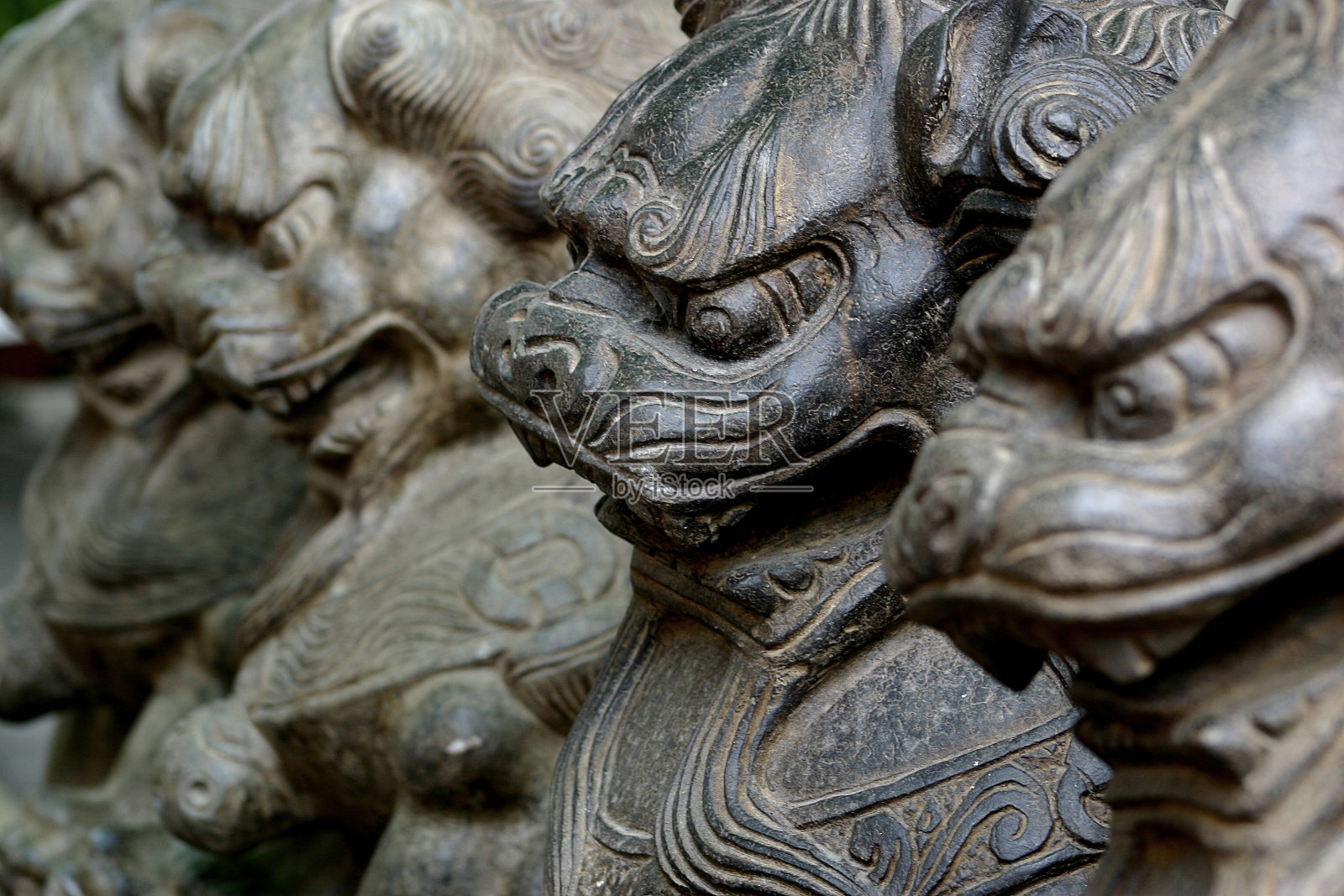 中国的狮子照片摄影图片