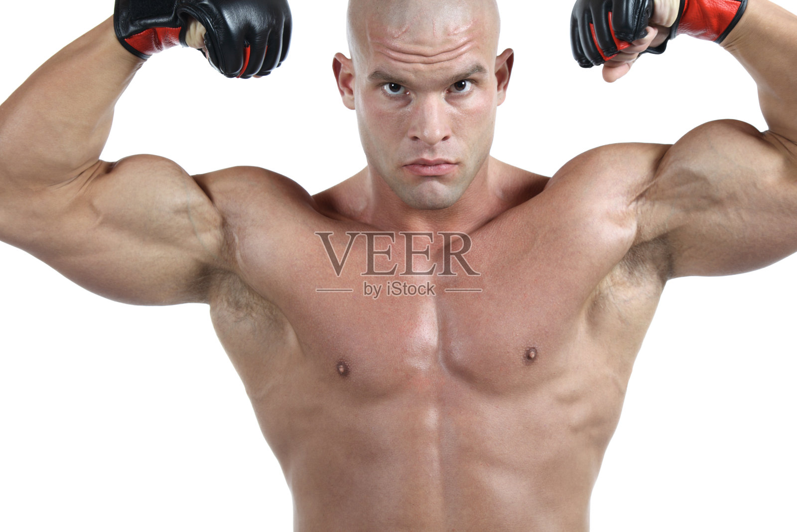 强大的战斗机肖像照片摄影图片