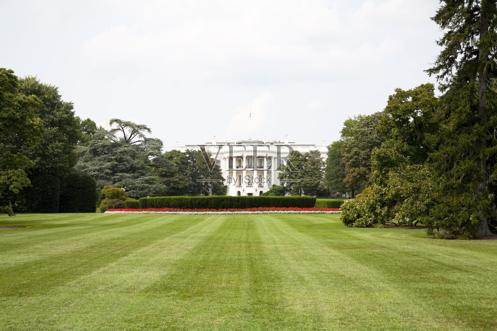 白宫照片摄影图片