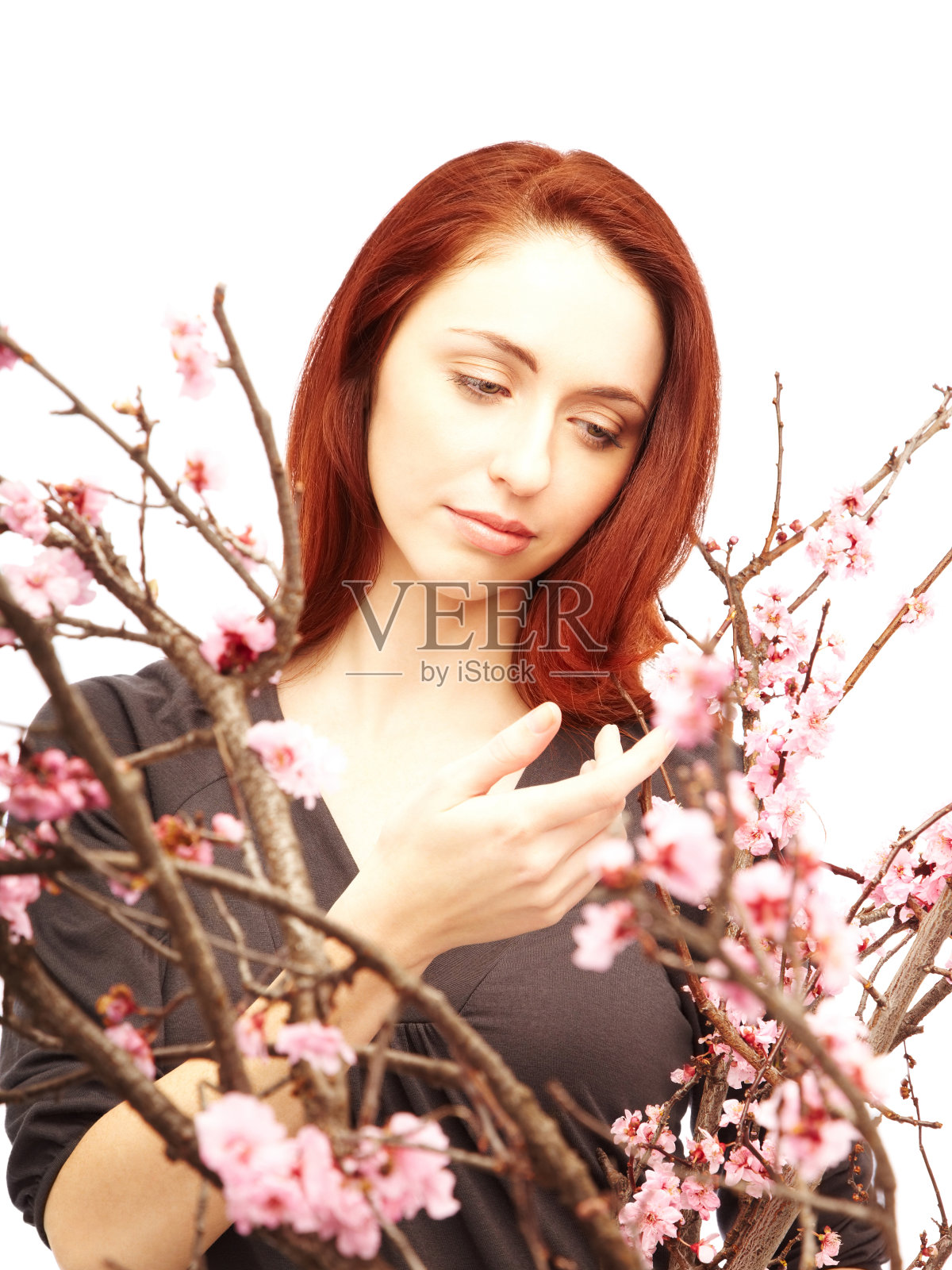 红发女人看樱花照片摄影图片