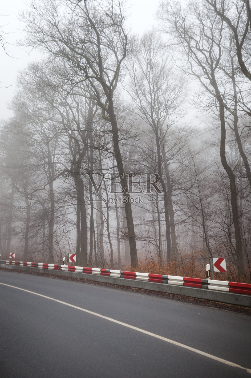 穿过森林的路照片摄影图片