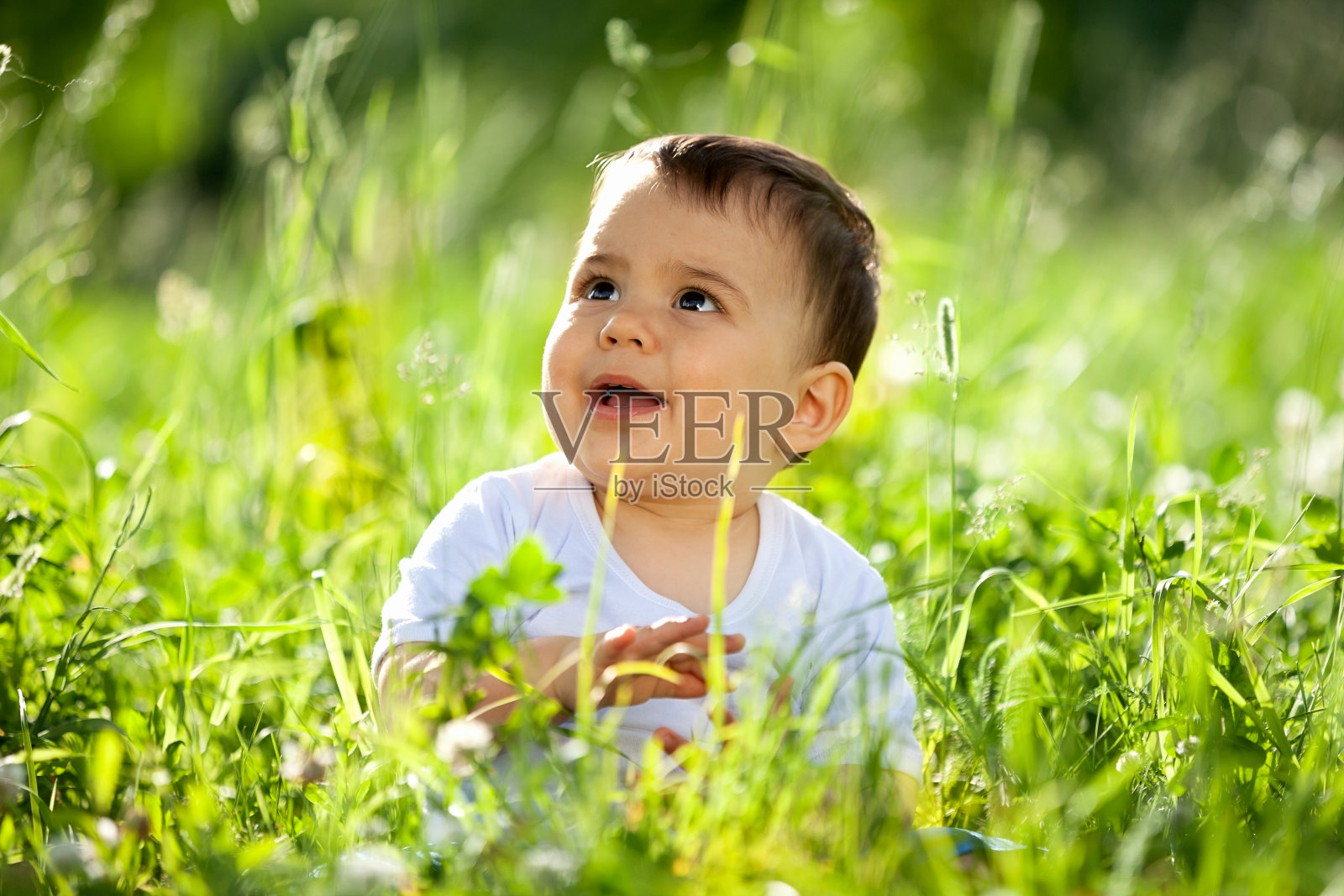 小男孩在草地上玩照片摄影图片