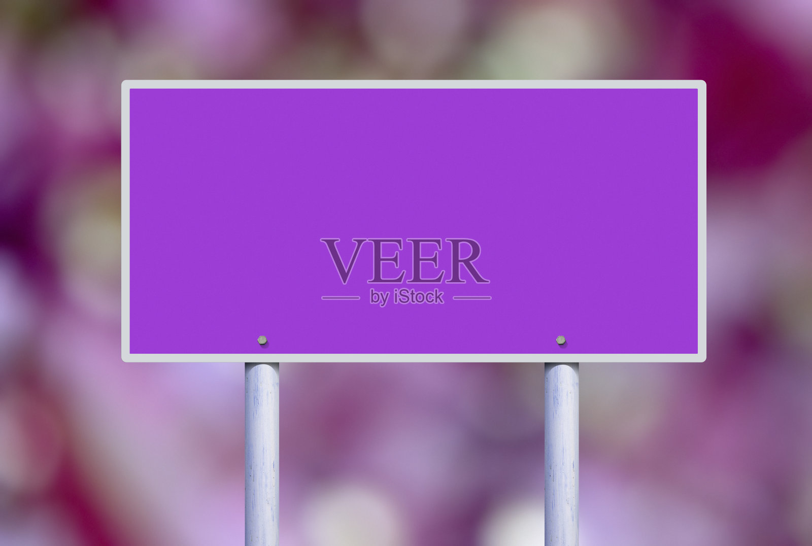 空的紫色的董事会照片摄影图片