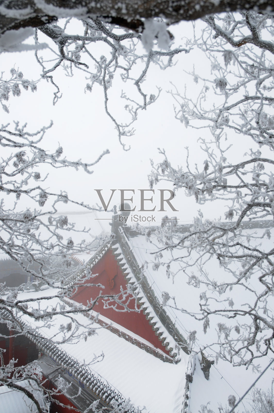 泰山在雪中照片摄影图片