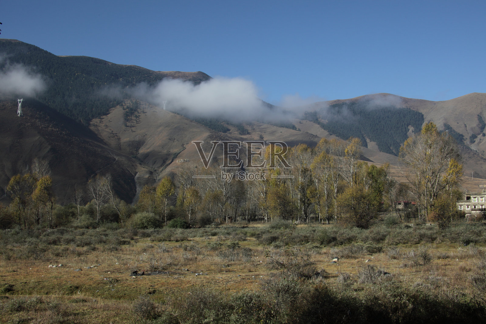 上午在新都桥照片摄影图片