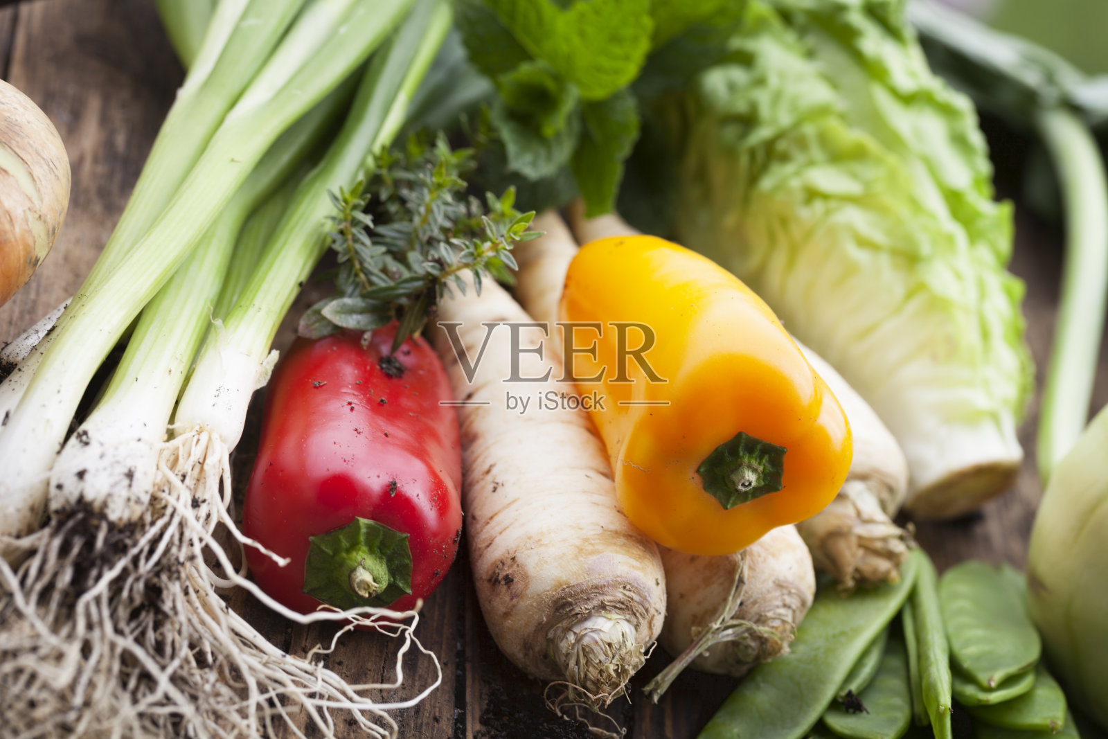 蔬菜从花园收获新鲜照片摄影图片